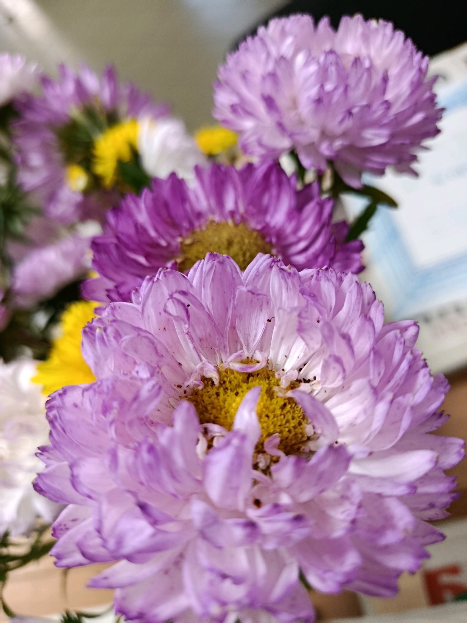 This is a close-up, eye-level, slightly high-angle shot of a bouquet of asters. The asters are predominantly shades of purple and lavender, with bright yellow centers. Some yellow and white flowers are also visible in the background, out of focus. The flowers are detailed and appear to be freshly cut. The background is blurred, suggesting an indoor setting, possibly a home or office. There is a suggestion of a blue and white striped object behind the flowers, which could be a piece of paper or fabric. No people or animals are present in the image. The location in Svietlahorsk, Belarus is not ascertainable from the visual information provided.