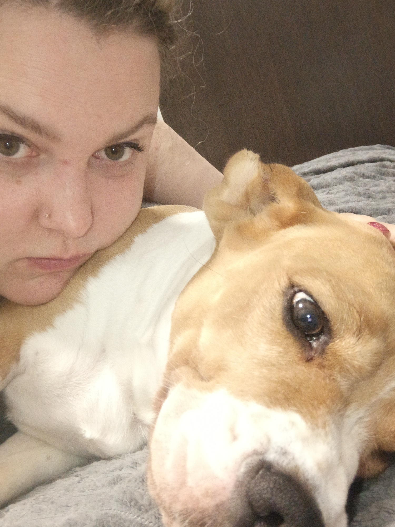 This is a close-up, diagonally oriented image taken indoors in the city of Марковский, Russia, depicting a female and a dog lying together.
**Human Subject:** A light-skinned female is visible on the left side of the frame, positioned on her left side. Her head is partially obscured by the dog, but her right eye, partial nose, mouth, chin, and a portion of her forehead are visible. She has brown/green eyes and light brown or blonde curly hair, partially visible at the top. A small, gold-colored piercing is present on her right nostril. Her expression is neutral, and she gazes directly towards the camera. A finger with red nail polish, likely belonging to her right hand, is visible resting gently on the dog's head.
**Animal Subject:** A medium-sized canine, appearing to be a beagle or similar mix, occupies the right and lower central portions of the frame. The dog has short fur, predominantly tan/light brown with significant white markings on its chest, underbelly, and lower face. Its right eye is open and visible, appearing dark, and its right ear is partially visible at the top of its head. The dog is positioned on its right side, with its head resting against the female.
**Interaction:** The female and the dog are in close physical contact, appearing to be resting or relaxing together. The female's head is against the dog, and her hand is gently touching the dog's head, indicating an affectionate interaction.
**Environment:** The background consists of a dark brown, textured fabric, likely a couch or bedding. A textured grey blanket or throw covers the lower portion of the frame and is visible beneath both subjects, suggesting a comfortable, indoor setting. Lighting is soft and ambient.
