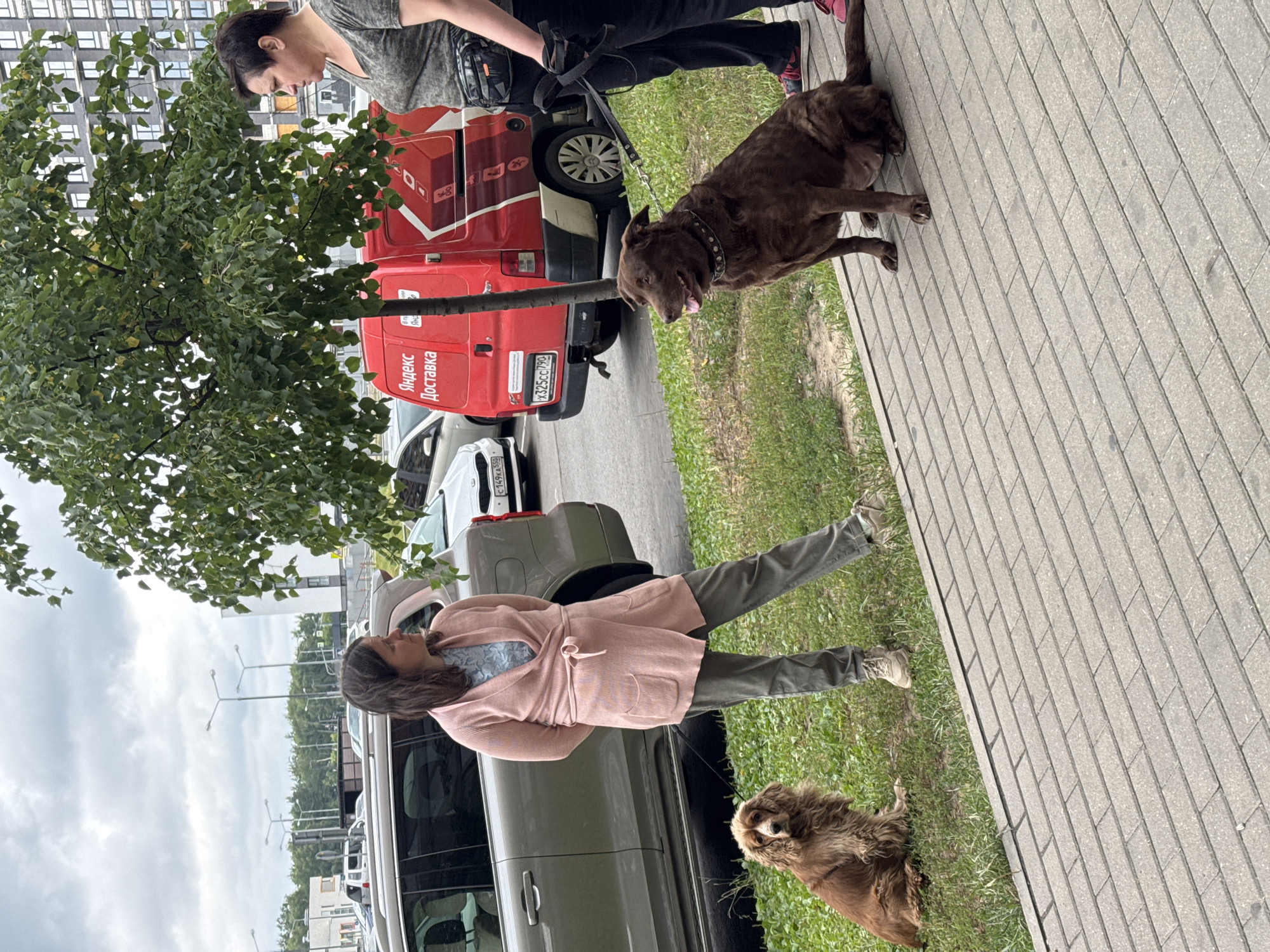 Two women and two dogs are standing on a sidewalk next to a grassy area. In the background, there is a red delivery van with "Яндекс Доставка" written on it, a white car, and a multi-story building. The woman on the left is wearing a pink cardigan over a blue patterned top and gray pants. She is standing with her arms behind her back, looking to the right. A brown dog with long fur is sitting on the grass to her left. The woman on the right is wearing a camouflage-patterned t-shirt and black pants. She is holding a leash attached to a large brown dog that is sitting on the sidewalk. The dog is looking to the left with its tongue out. The overall scene appears to be a street in the city of Mirny, Russia, likely during daytime with overcast skies.