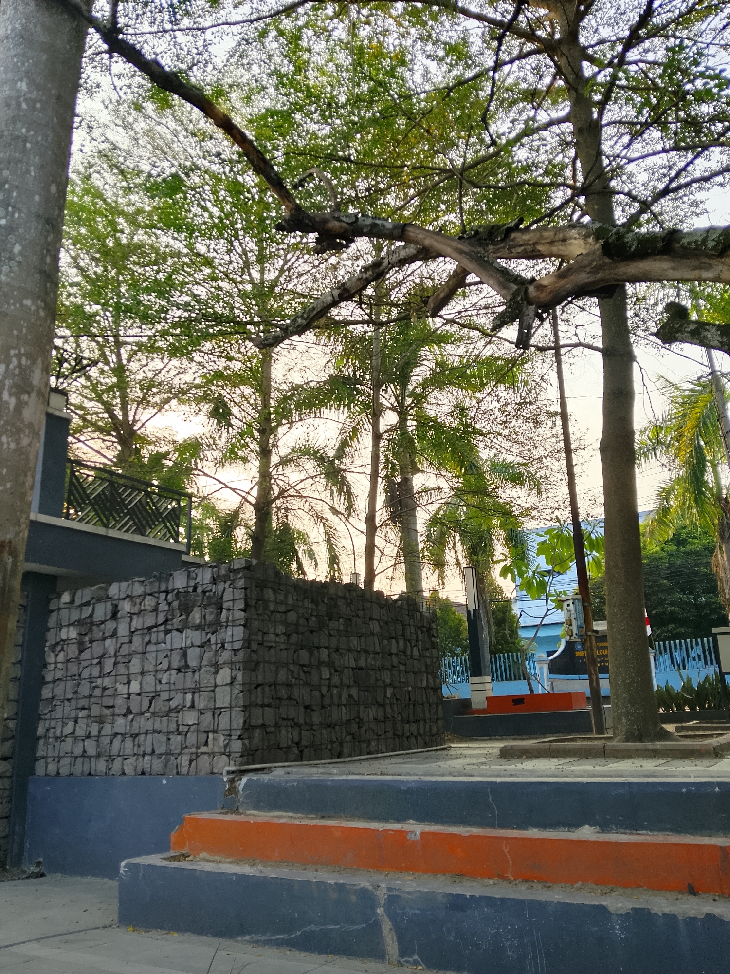 The image shows a view of a building exterior with a stone wall and tiered steps. In the foreground, there are two steps, the lower one painted dark blue and the upper one painted orange. Behind the steps is a dark blue wall, topped by a gabion wall constructed from stacked stones within a wire mesh. A large tree trunk is visible to the right of the frame, with its branches extending upwards and across the top of the image. Beyond the gabion wall and tree, there are several tall trees with green foliage, including palm trees, set against a bright sky. A building with a blue facade and a fence is visible in the background. A sign with text that appears to be in Indonesian is partially visible on a pole in the middle ground. The overall scene suggests an outdoor area, possibly a public space or the grounds of an institution in Biting, Indonesia. There are no people or discernible actions in the image.