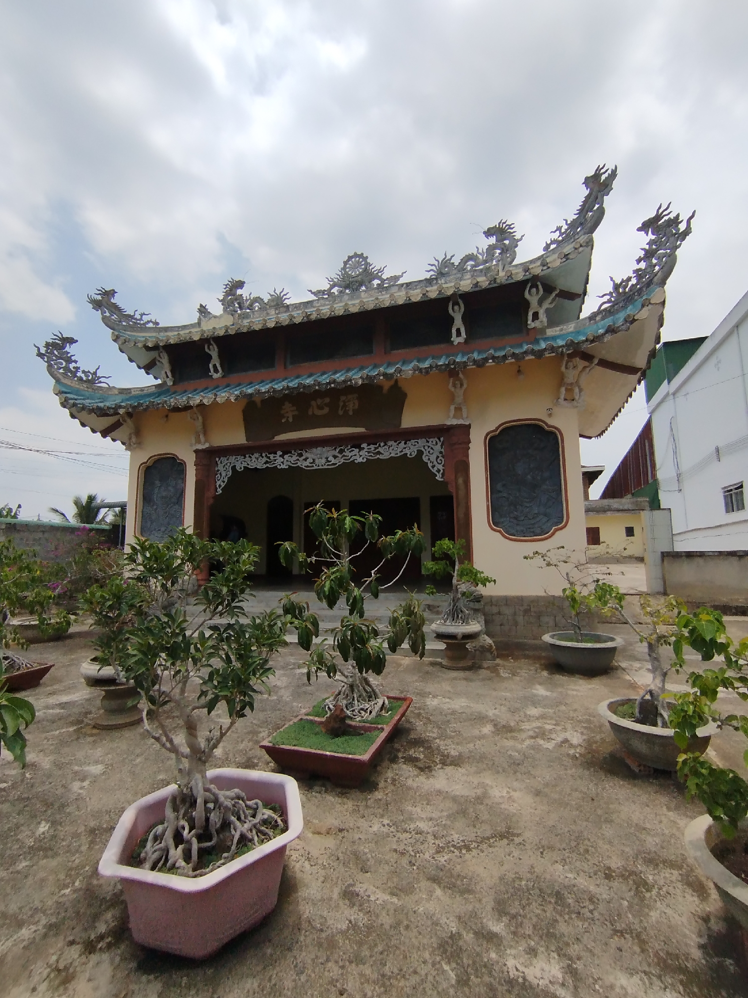 The image shows a traditional Vietnamese building, possibly a temple or community hall, located in Phú Lộc, Vietnam. The building is a one-story structure with a tiled, multi-tiered roof adorned with dragon sculptures. A sign with Chinese characters is above the entrance. The building's facade is painted a light yellow color, with decorative window frames and a carved entrance.
In the foreground, a concrete courtyard is filled with potted bonsai trees of various sizes and shapes. The sky is overcast. A residential building is visible to the right of the main building.