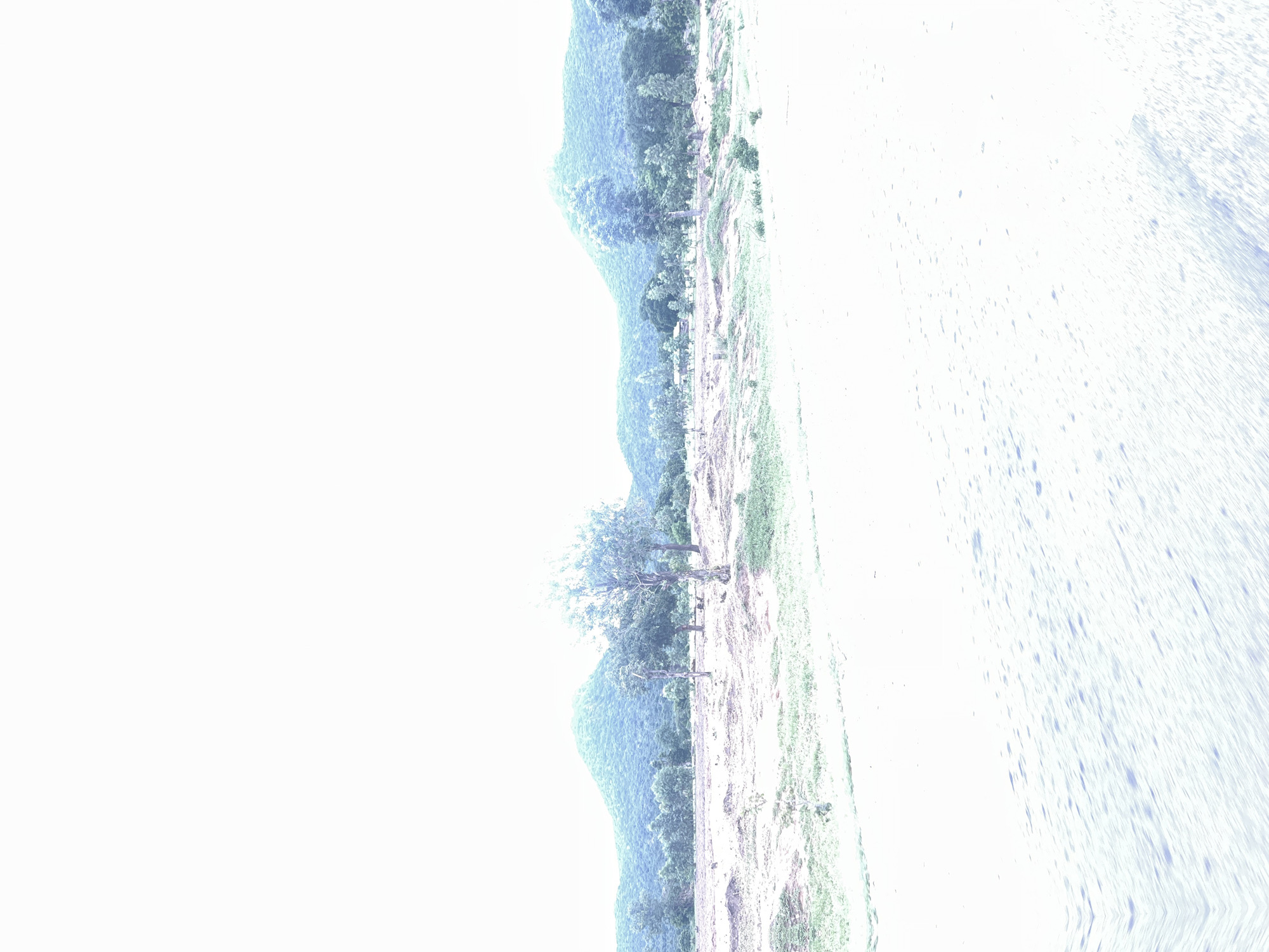 The image depicts a scenic landscape featuring rolling hills covered in lush greenery. In the foreground, there is a field with sparse vegetation and several trees scattered across the ground. The image appears to be taken during daylight, possibly in the late morning or early afternoon, as suggested by the bright illumination. The sky is predominantly white, suggesting clear or overcast weather conditions, with no visible clouds. The overall impression is one of a peaceful, natural environment. The picture's orientation is skewed, appearing rotated counter-clockwise by approximately 90 degrees. The right side of the image is highly distorted with a bright, almost washed-out effect, showing streaks of white and faint blue, possibly indicative of a water body or a glare effect. The left side of the image is dominated by the hills and trees. There is no text or identifiable human presence in the frame.