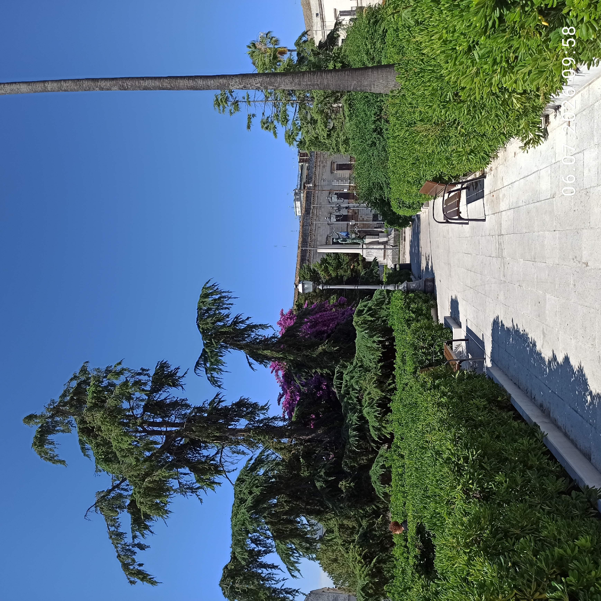 The image shows a sunlit park with a paved pathway lined with manicured green hedges and benches. Large trees, including a tall palm tree and several coniferous trees with drooping branches, dominate the background. In the distance, a stone monument with a statue is visible, as well as historic buildings. The sky is clear and blue. A person with curly red hair is partially visible behind the hedges on the left. A timestamp at the bottom right corner of the image reads "06.07.2020 09:58". This location is identified as Piazza Felice Scarce in Ruvo di Puglia, Italy.