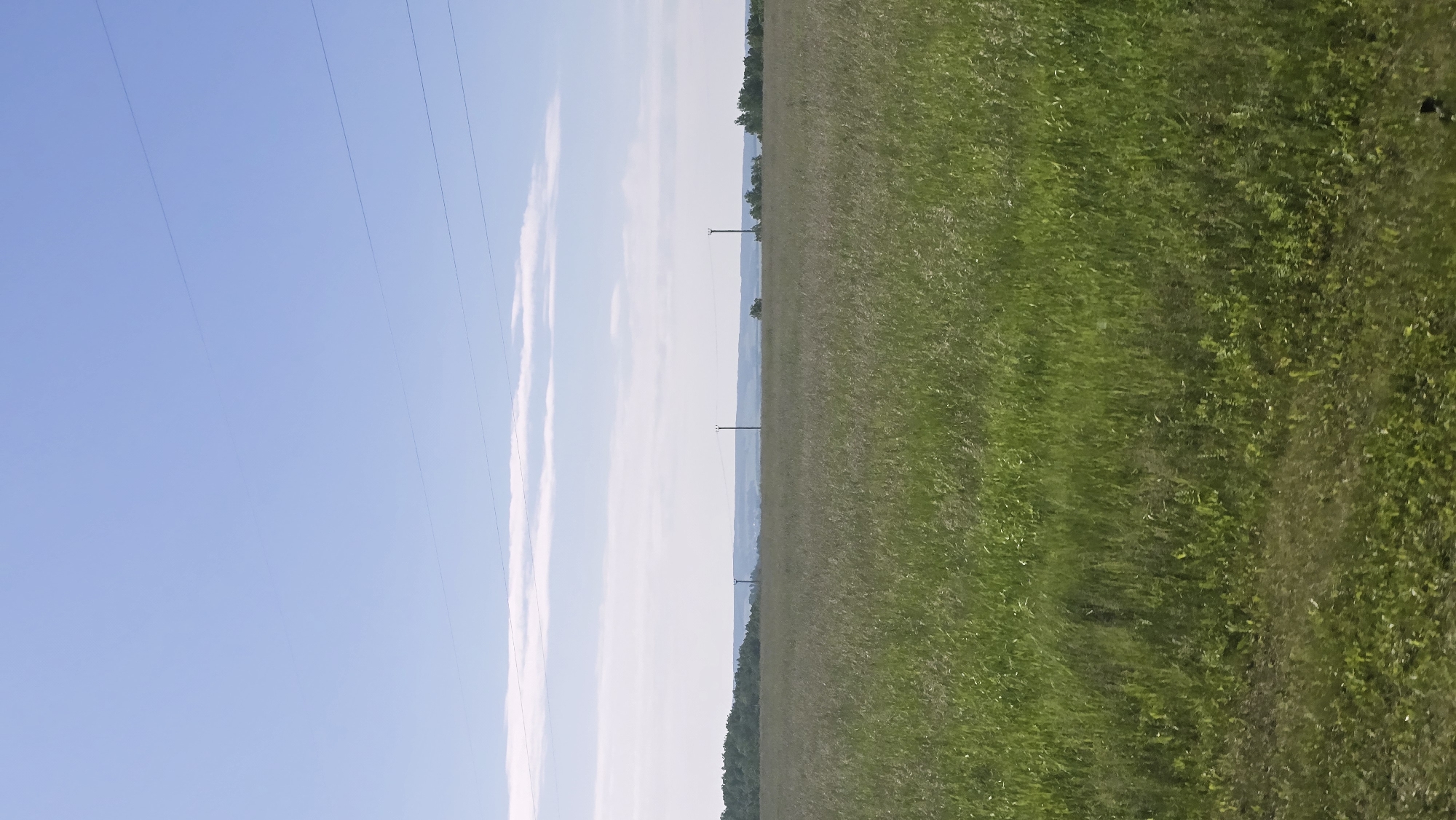 The image shows a wide, flat landscape dominated by a vast field of tall green grass under a clear blue sky. A few wispy white clouds are visible near the horizon. In the distance, a treeline forms a dark green band across the landscape. Several tall, slender utility poles with wires stretched between them are scattered across the scene, some appearing in the field and others on the distant horizon. The overall impression is one of open, rural space on a bright, sunny day. The location is identified as a field in the vicinity of Актюбинский, Russia, which is a known settlement in the Astrakhan Oblast.