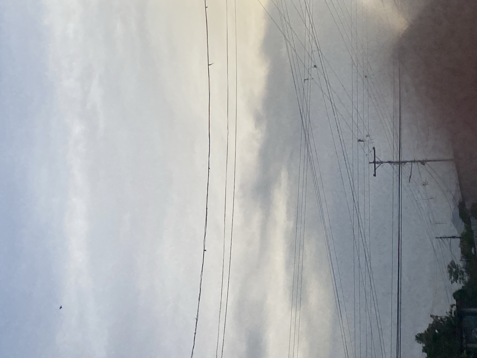 The image shows an overcast sky with power lines visible in the foreground. A power pole is visible on the right side of the image. The location is Tinaquillo, Venezuela. Trees are also present in the lower right corner. A small dark speck is in the sky in the lower left corner.