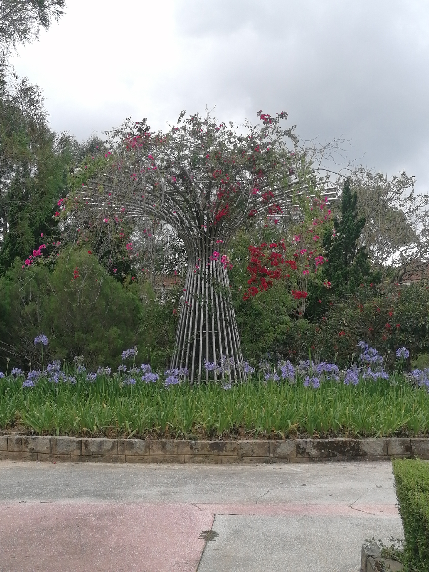 A metal sculpture resembling a tree is encircled by vibrant flowers in a garden setting, situated in Da Lat, Vietnam. The metal structure, made of vertical metal bars converging at the base and spreading out towards the top, is entwined with red and pink flowering vines. A border of blooming purple agapanthus flowers lines the base of the sculpture. The surrounding vegetation consists of various green shrubs and trees. A stone wall serves as a boundary between the garden and a concrete walkway. The sky is overcast.