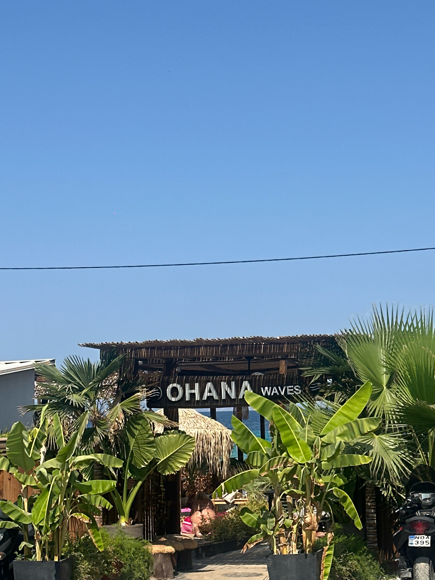 A low-angle, medium shot captures a sun-drenched scene in Kassandra Municipal Unit, Greece, dominated by lush tropical vegetation and a sign for "OHANA WAVES." In the foreground, large, vibrant green banana plants and palm trees create a dense, almost jungle-like atmosphere, their broad leaves unfurling towards a clear, bright blue sky. Behind the foliage, a rustic wooden structure with a thatched roof serves as an entrance, adorned with the white lettering of the establishment's name. A glimpse of the sea is visible in the background, its blue waters contrasting with the greenery. To the right, a black motorcycle with a license plate reading "NOA 395" is parked, its metallic sheen reflecting the sunlight. A figure, partially obscured, is seated on a bench to the right, suggesting a relaxed or waiting posture. A dark power line stretches horizontally across the upper portion of the frame, a subtle reminder of human infrastructure amidst the natural beauty.