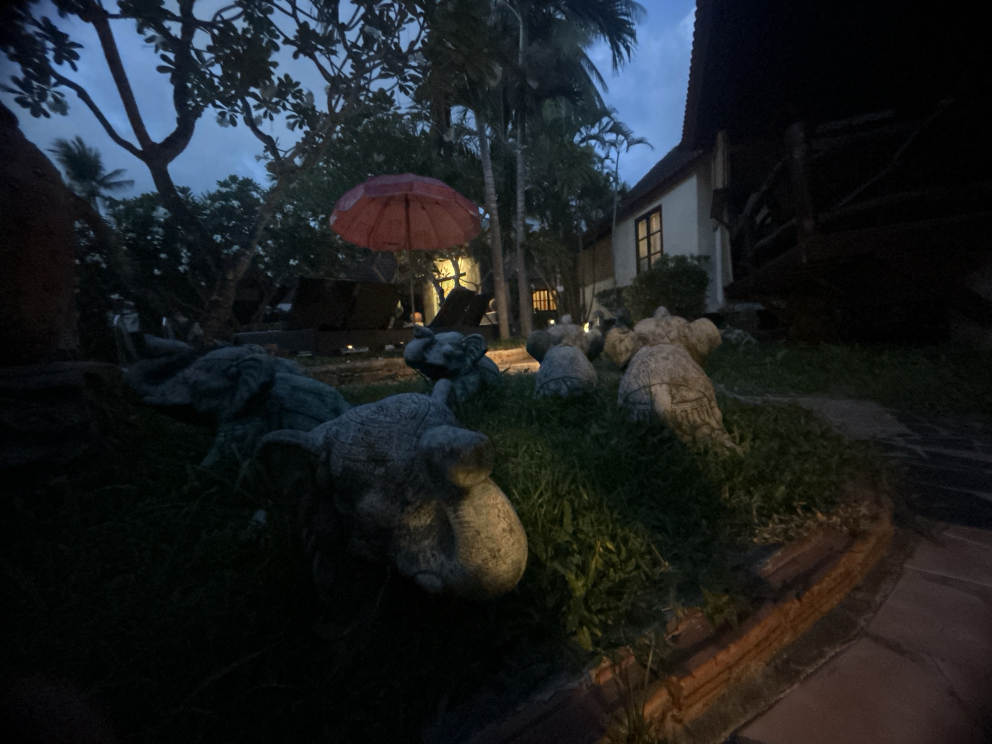 The image shows an outdoor scene in Baan Wang Ta Kien, Thailand, likely taken at dusk or night. In the foreground, there are several stone statues of elephants situated in a grassy area. In the middle ground, there is an orange umbrella above lounge chairs. Beyond the lounge chairs, a building is visible with lit windows. Trees, including palm trees, surround the scene. The lighting is dim, and some areas are shrouded in darkness. The path is paved with brick.