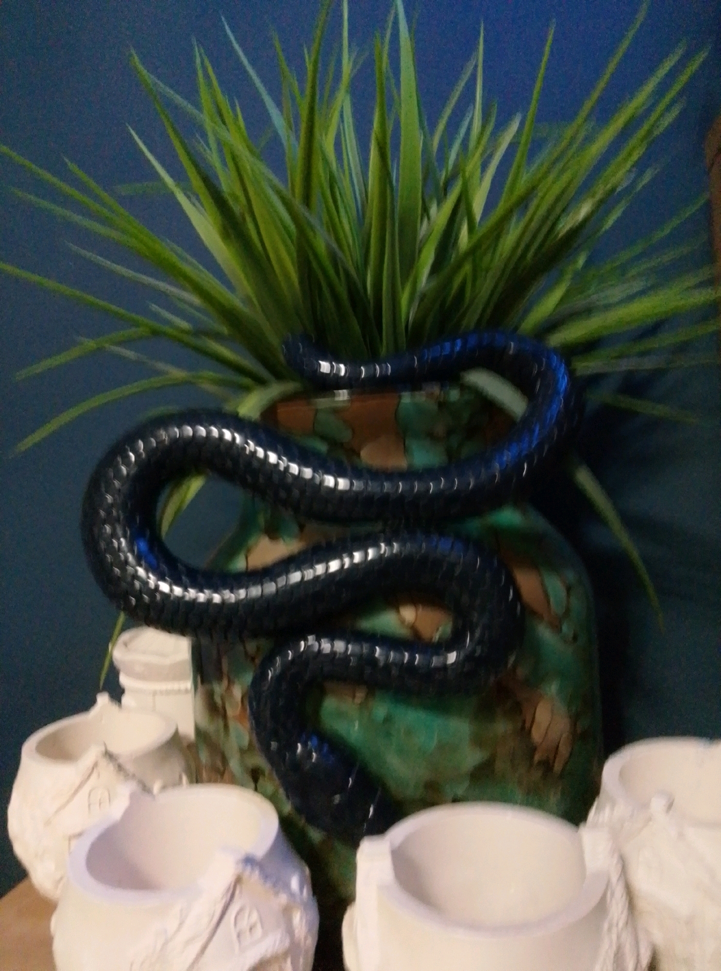 In an indoor setting with a dark blue wall, a dark green and brown patterned vase holds a lush green plant with long, spiky leaves. A black, coiled snake decoration is draped over the vase, its textured surface reflecting light. In the foreground, several unglazed white ceramic pots are visible. Two of these pots are in focus and appear to be shaped like miniature houses, with raised details of doors and windows. Another white pot is partially visible to the right, and behind the snake decoration, another white cylindrical object can be seen. The overall scene suggests a decorative display, possibly for plants or as part of an artistic arrangement. No people are present in the image, and no specific location in Wedel, Germany can be identified from the visual information provided.