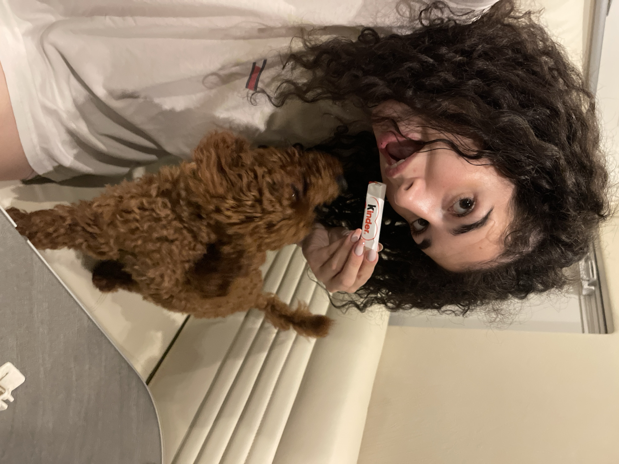 An indoor photograph depicts a young woman and a small dog in Koprinka, Bulgaria. The woman, positioned on the left side of the frame, has dark, curly hair and is wearing a light-colored t-shirt with a red and blue rectangular logo on the upper left chest. Her head is tilted, and her mouth is open, revealing her tongue and lower teeth. She is looking directly towards the viewer. In her right hand, she holds a white and red "Kinder" branded chocolate bar near her open mouth. Her fingernails are manicured with light pink polish and small accents. A small, brown, curly-haired dog stands on a light-colored upholstered bench, looking upwards towards the woman's face and the chocolate bar. The dog's tail is visible, extending upwards. The bench features horizontal ribbed detailing. The background consists of a plain, light-colored wall. A grey surface, possibly a table or countertop, is visible in the bottom right foreground, with a small white object containing a spring mechanism resting upon it. The scene is illuminated by uniform indoor lighting.