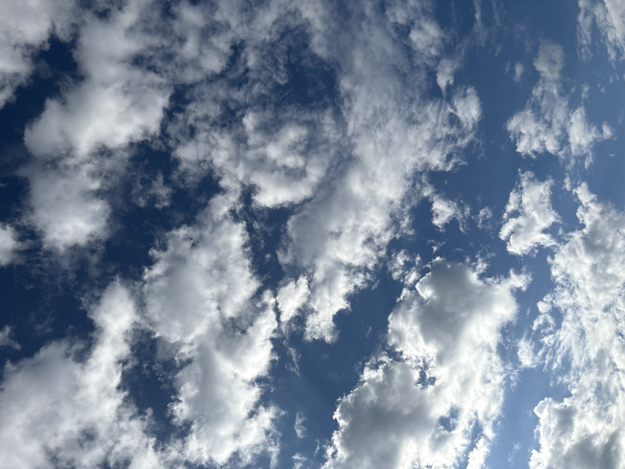 A wide shot captures a bright blue sky filled with scattered white clouds. The clouds vary in density and shape, with some appearing wispy and thin while others are more substantial and textured. The lighting suggests it is daytime, with sunlight illuminating the clouds from above. There are no people, structures, or any signs of civilization visible in the frame, indicating an outdoor, open environment. The image is a natural scene, devoid of any man-made elements or specific geographical markers that would place it within the city of Сульмаш, Russia.