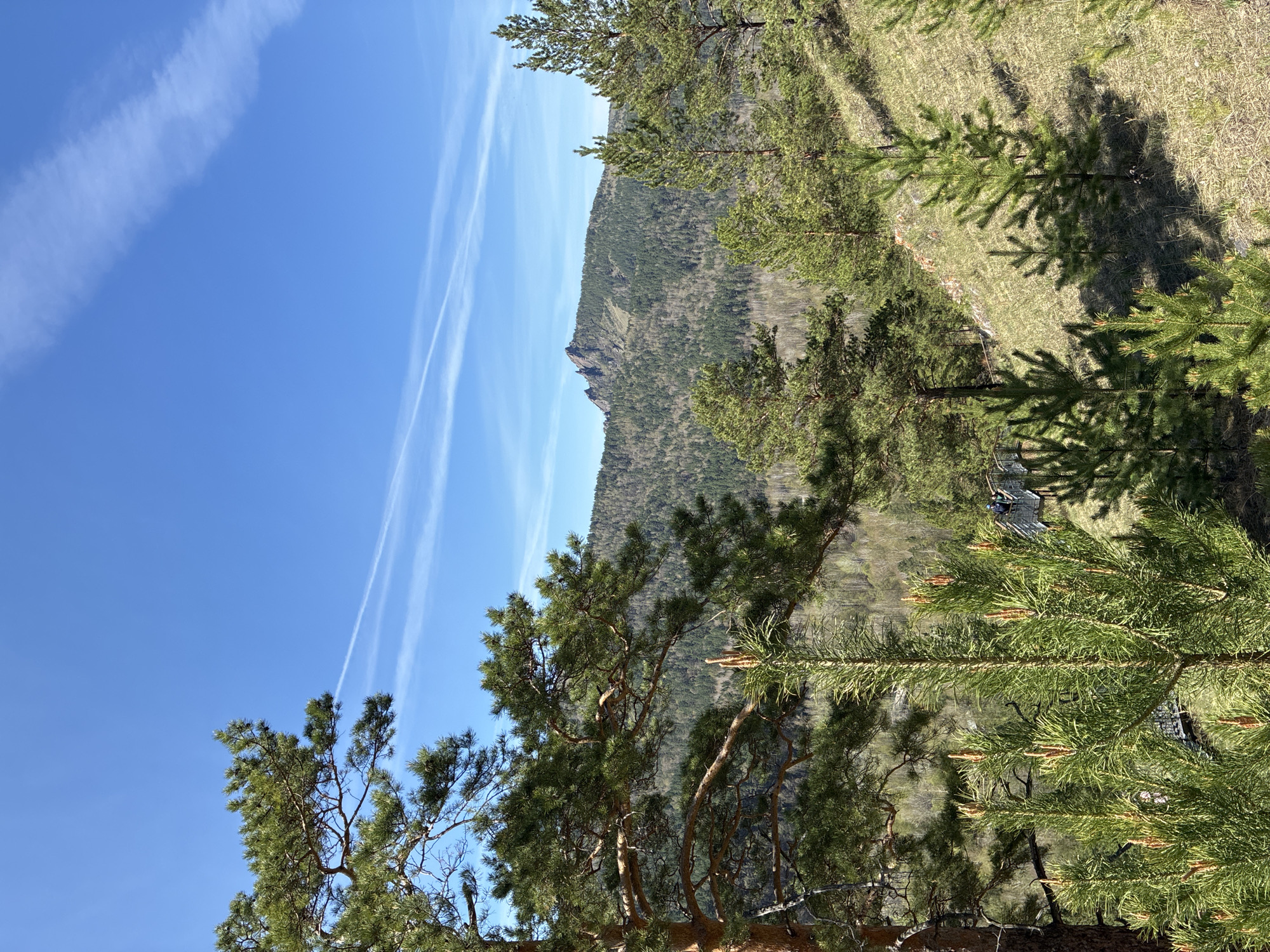 The image depicts a landscape with trees, a mountain range, and a clear blue sky with contrails. The foreground features pine trees with green needles and brown branches. The middle ground shows a mountain range covered in trees. A path or walkway is visible further in the background. The sky is blue with two white contrails stretching across it. The location appears to be a natural area, possibly a park or wilderness area. The city is unknown, but it could be a mountainous or forested region. The image is taken from a slightly elevated perspective.