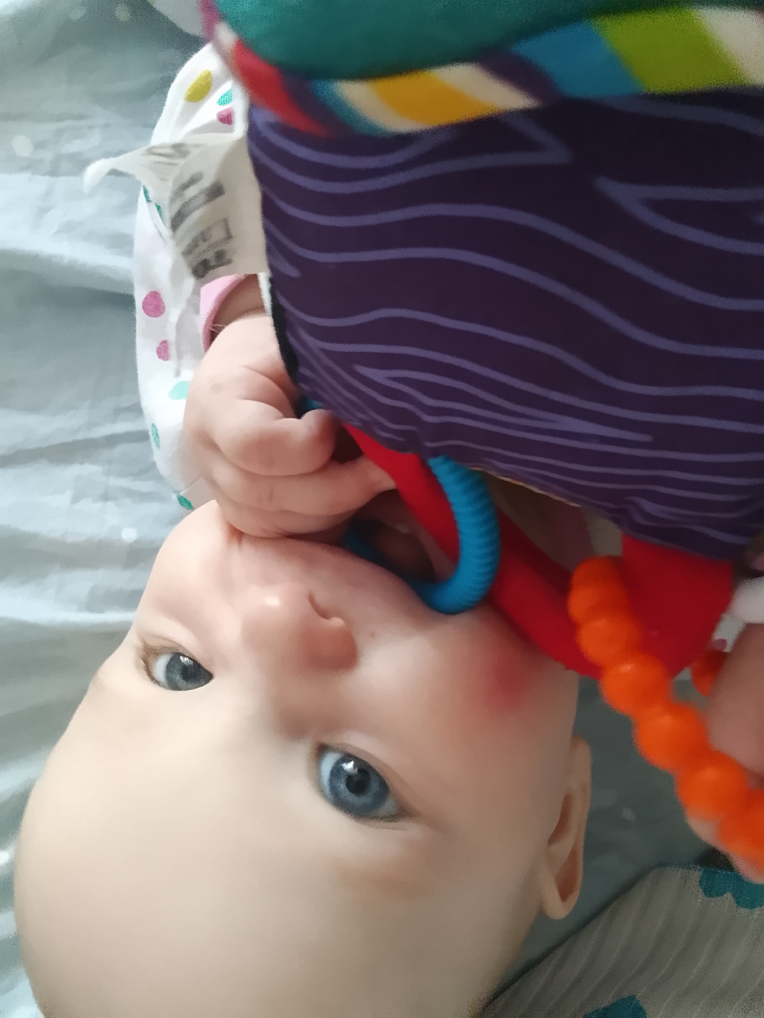 An inverted, close-up, eye-level shot captures a baby on a light blue, textured surface, possibly a blanket. The baby, with striking blue eyes and fair skin, is positioned such that their head is at the bottom of the frame, and their body extends upwards. A colorful toy with purple stripes and blue, red, and orange elements is held near the baby's mouth. The baby's hand is also visible, reaching for the toy. The background is a muted light blue with subtle horizontal lines, suggesting a bed or crib. There is no indication of the city of Minsk, Belarus, in the image.