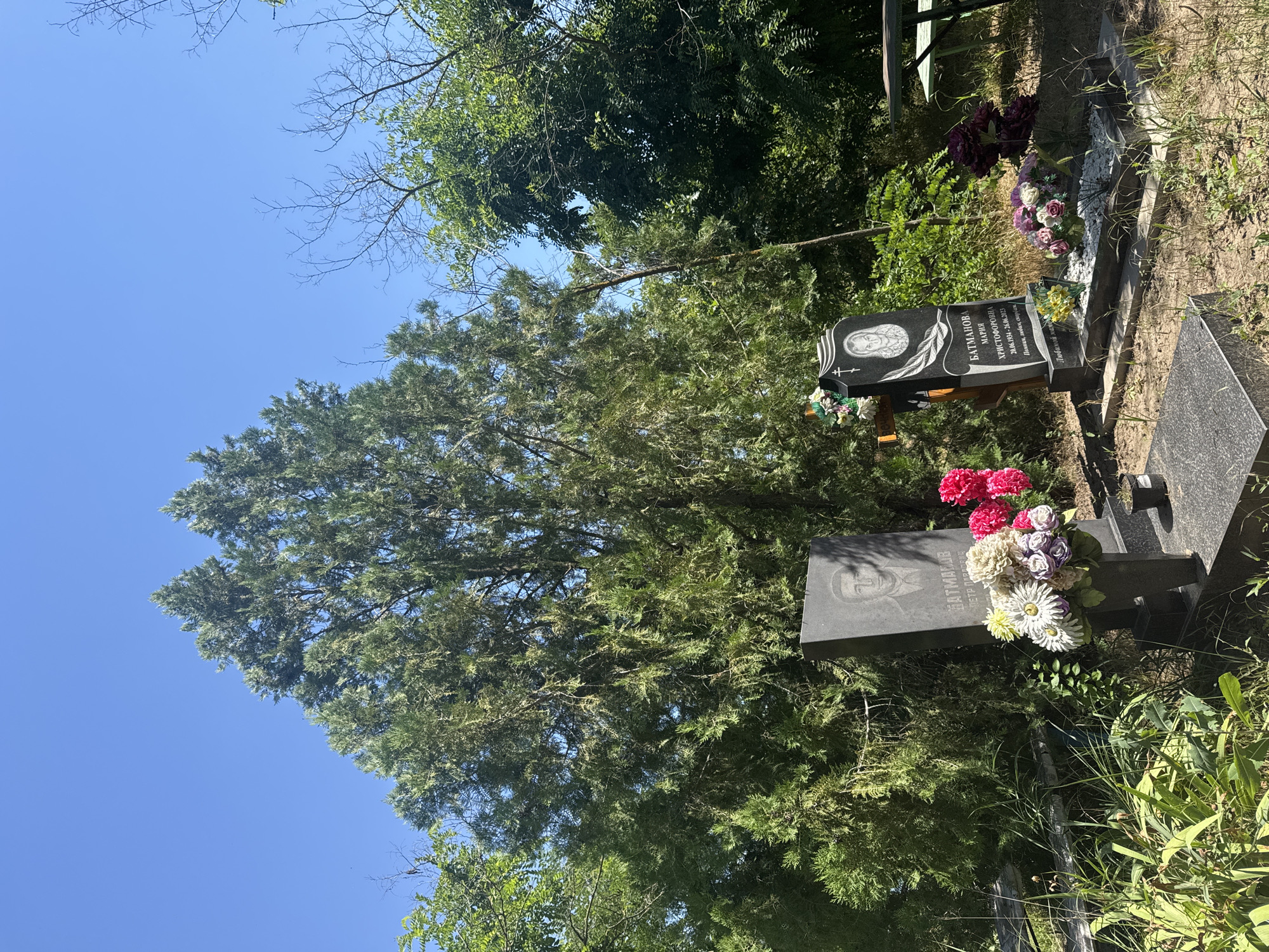 A portrait of a deceased person is engraved on a dark granite tombstone, with their name and dates of birth and death inscribed below. The tombstone is decorated with a bouquet of artificial flowers in shades of pink, white, and purple. The scene is set in a cemetery with lush green trees and grass, bathed in the bright sunlight of a clear day. The overall atmosphere is somber and peaceful, typical of a memorial site. A second, larger tombstone with a visible engraving of a man's face and inscription is also present in the foreground. The cemetery appears to be located in Верхнеянченков, Russia. The visible text on the tombstone reads: "БАТМАНОВА МАРИЯ ХРИСТОФОРОВНА" and below it, "Умерла 28.08.2013".
