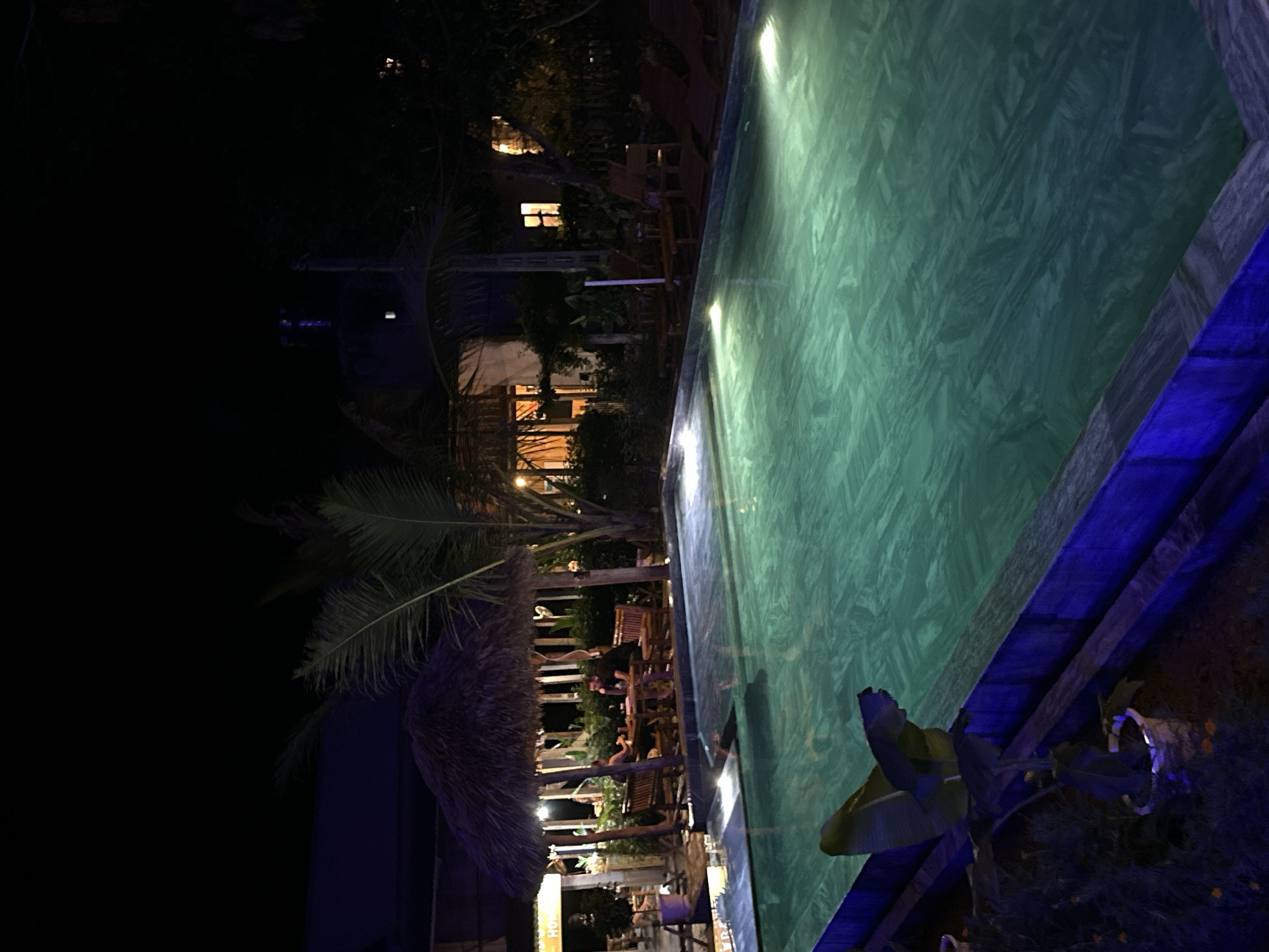 A nighttime scene depicts a resort or restaurant area with a swimming pool. In the foreground, a dark-tiled swimming pool with an iridescent green surface reflects the ambient lighting. The pool is bordered by a dark-colored edge and illuminated by underwater lights. To the left of the pool, a potted plant with large leaves is visible. In the mid-ground, a thatched-roof hut shelters a wooden dining table and benches where two men are seated. Palm trees and other tropical foliage are present. Further back, buildings with illuminated windows are visible, suggesting lodging or other facilities. Red lounge chairs are arranged near the pool in the background, and the overall ambiance is that of a tropical vacation setting.