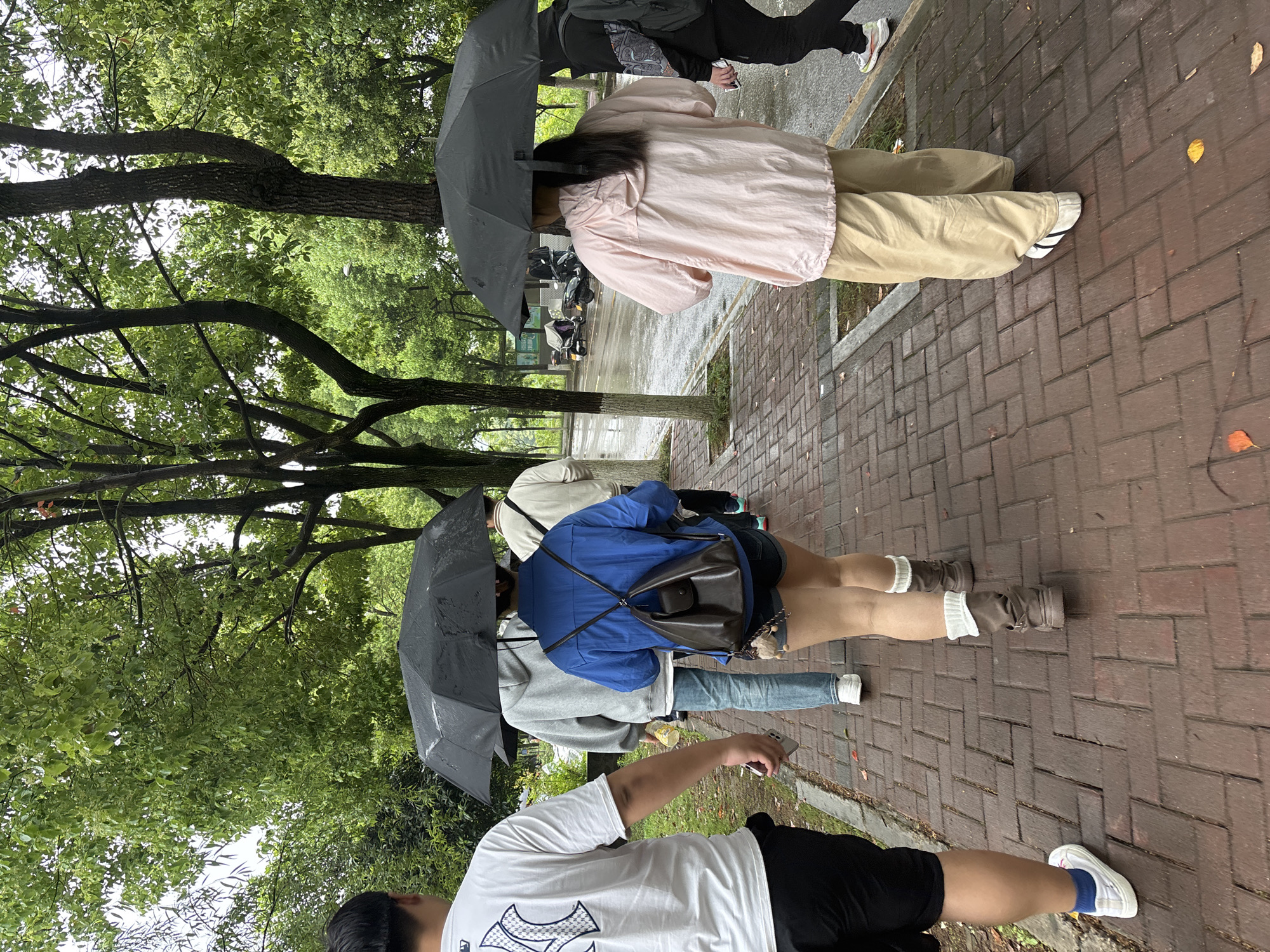 On a brick sidewalk in Jiangjin, China, pedestrians with umbrellas walk single file on a rainy day. The scene is framed by green trees lining the walkway. A person in a pink jacket walks under a black umbrella. Behind them is a person wearing a blue jacket with a brown bag. In the foreground, a person in a white shirt and black shorts walks with a phone in their hand. The ground is wet, with scattered fallen leaves.