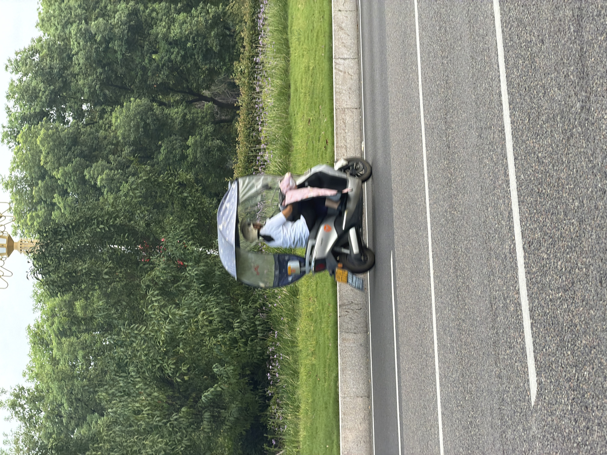 A person rides a three-wheeled electric scooter on a paved road in Jiangjin, China. The scooter has a clear canopy extending over the rider, providing shelter. The rider is wearing a light-colored shirt and dark pants, and a light-colored cap. A pink blanket or cloth is draped over the front of the scooter. The scooter is silver and has a license plate. The scooter is in motion, as indicated by the slight blur. The background consists of a lush green grassy area with trees behind it. A light-colored lamppost is visible in the upper right corner of the image. The road has white lane markings.