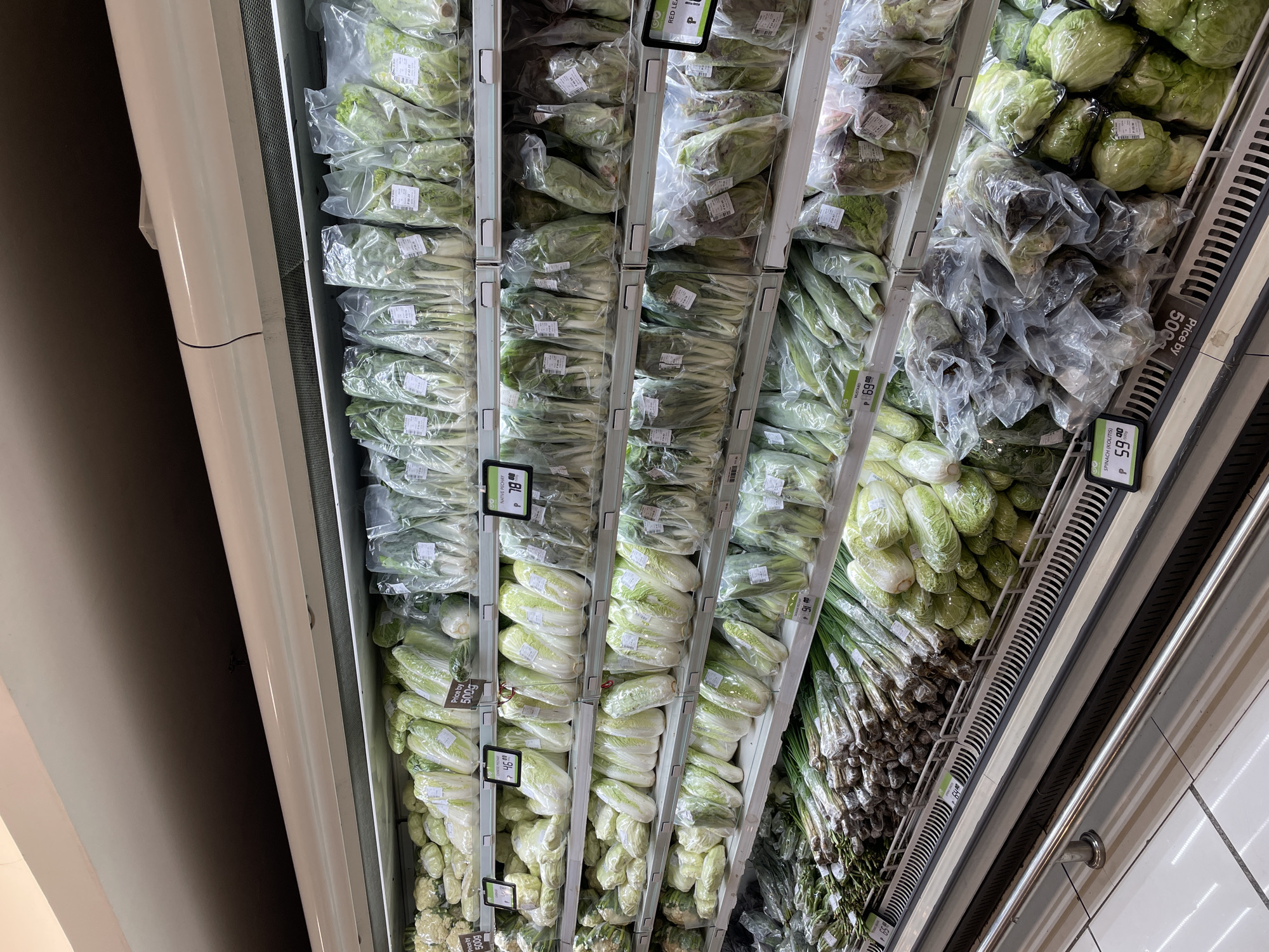 This is an eye-level, medium shot of a refrigerated produce display shelf in a supermarket. The shelves are filled with various types of leafy green vegetables, all individually wrapped in clear plastic packaging. From top to bottom, the shelves contain what appear to be bok choy, napa cabbage, lettuce, and scallions. Most of the items are priced with small tags, some of which are visible in the image. The overall environment is clean and well-lit, typical of a grocery store produce section. The image appears to be taken in a supermarket in Davao City, Philippines, as indicated by the pricing in Philippine pesos (P).