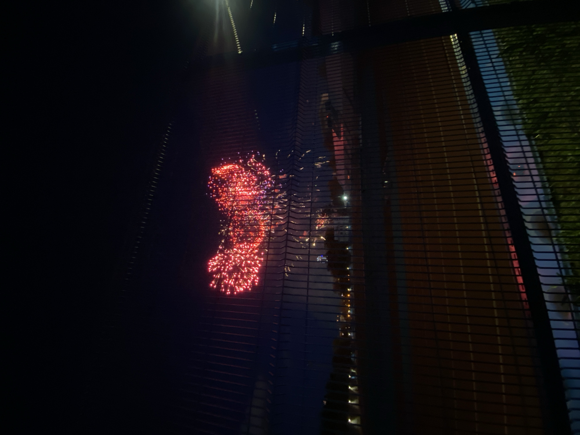 The photograph, taken at night, appears to capture a fireworks display. The fireworks are red and possibly purple, and are viewed through a wire fence. The background is mostly dark. There is a building or structure visible through the fence, with some lights. Vegetation is seen along one edge of the fence. The location cannot be determined to be in Yekaterinburg, Russia without additional information. No people are visible.