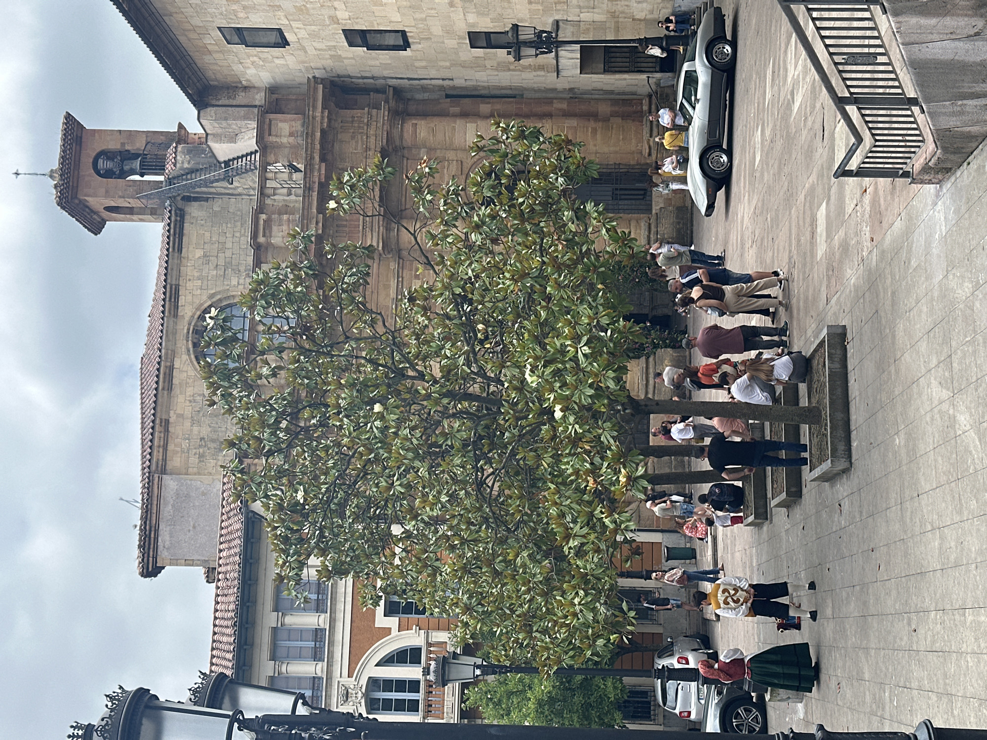 The image depicts a public square in Oviedo, Spain, likely Plaza de Alfonso II el Casto, given the presence of the Cathedral of San Salvador. In the foreground, a large tree with green foliage dominates the center of the frame. Surrounding the tree, a group of people are gathered, some standing, others sitting. To the left, a woman in traditional Asturian costume, featuring a red headscarf and a green skirt, stands near two parked cars, one of which is a white hatchback. To her right, a man also in traditional Asturian attire, with a yellow vest and black knee-length breeches, faces away from the camera. A vintage silver Chevrolet Corvette is parked on the right side of the square. In the background, the historic buildings of Oviedo rise, characterized by their stone facades and red-tiled roofs. A bell tower with a cross on top is visible above the buildings, a distinct feature of the Cathedral. The sky is overcast, suggesting a cloudy day. The ground of the square is paved with grey tiles.