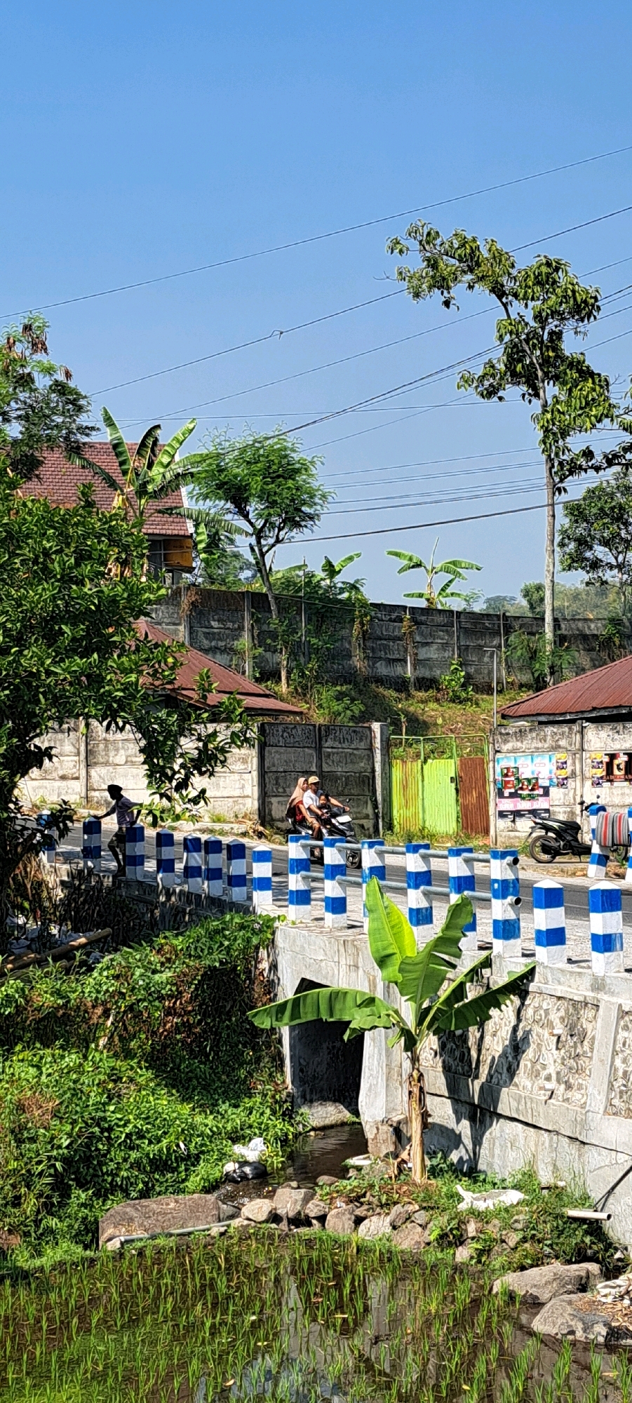 The image depicts a street scene with a concrete barrier painted with blue and white stripes running diagonally across the frame. A man is standing on the barrier on the left, looking towards the road. On the road, a motorcycle carrying two people is traveling from left to right. The background features a concrete wall, vegetation, and buildings with red tile roofs. To the right of the road, another motorcycle is parked. In the foreground, a small stream flows under a concrete structure, with a rice paddy field visible in the lower section of the image. The sky is clear and blue. This scene is located in Watuagung, Indonesia.