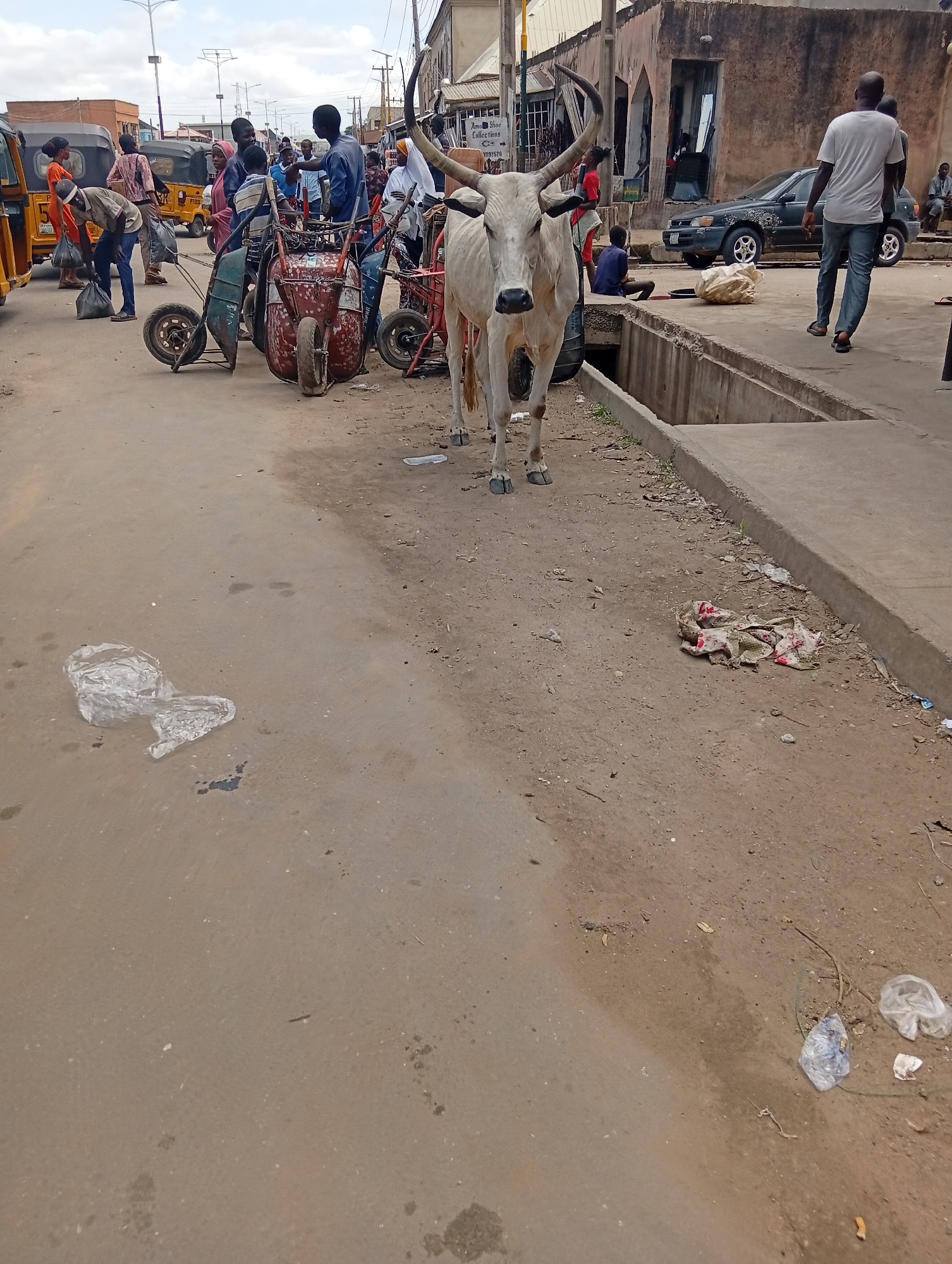 Memory