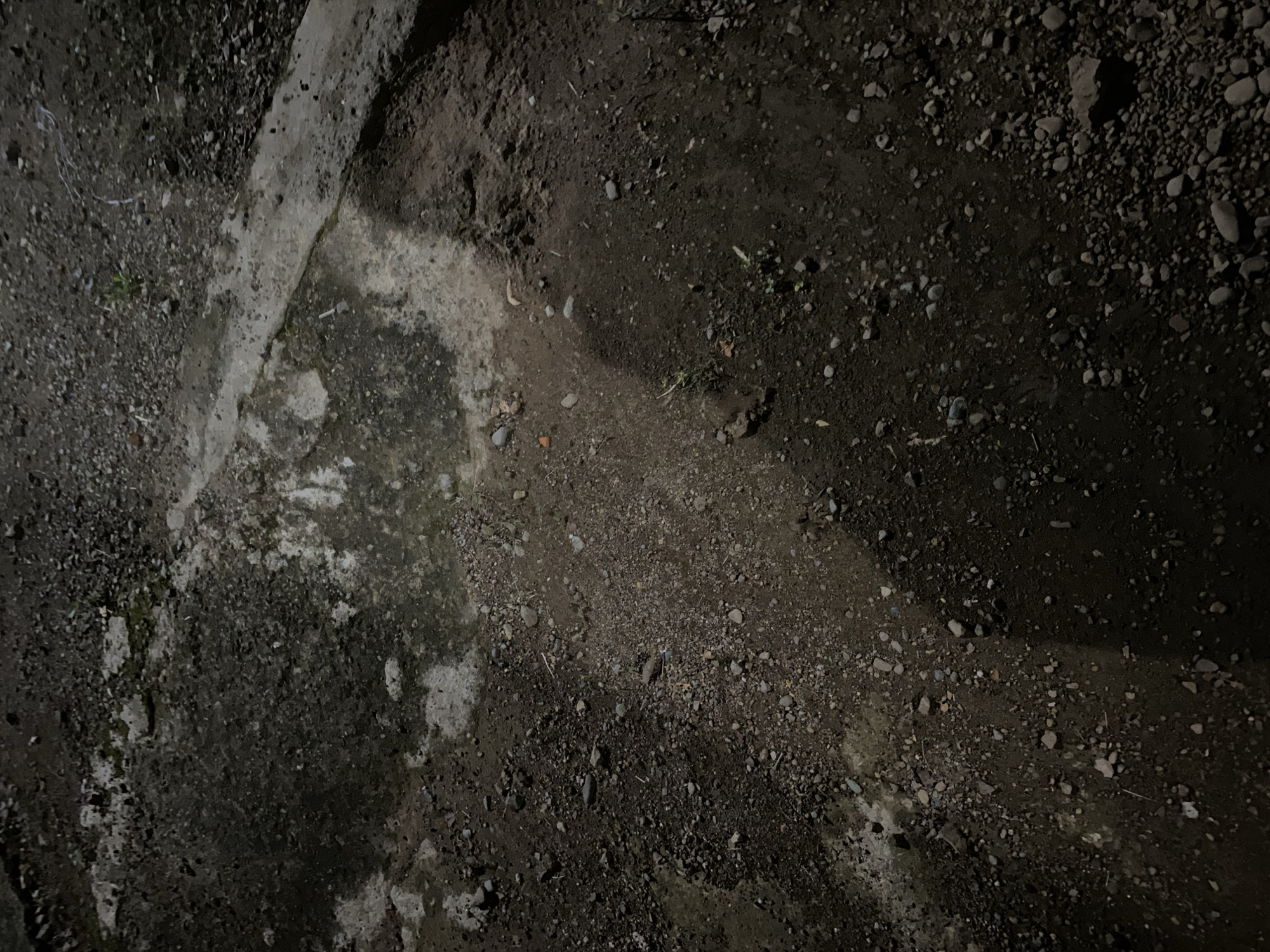 The image displays a close-up view of a rough, uneven ground surface. The ground is composed of dark soil mixed with small pebbles and larger stones, some appearing wet. There are patches of lighter-colored material, possibly concrete or dried mud, scattered across the surface. A thin, light-colored strip, resembling a small curb or concrete edge, runs diagonally from the upper right towards the lower left of the image. Sparse green vegetation, such as blades of grass and small weeds, can be seen growing in a few areas. The lighting suggests it is nighttime or a very dark indoor space, casting shadows and creating a somber atmosphere. The overall scene is a depiction of an outdoor, unpaved ground area in Lambaro Kueh, Indonesia.