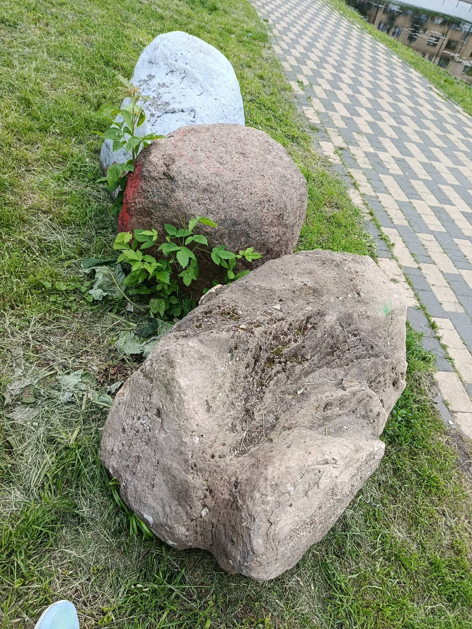 The image displays an outdoor scene featuring three large rocks or boulders positioned on a grassy slope. The rocks are arranged in a diagonal line from the upper left to the lower right. The leftmost rock is painted a light grey, while the middle one has a reddish-brown tone with a distinct red mark on its side. The rock closest to the viewer is a large, irregularly shaped grey boulder.
Green grass covers the ground around the rocks, with small green plants and weeds growing in clusters, particularly between the rocks. To the right of the grassy area is a paved pathway with a repeating checkered pattern of light and dark grey square tiles. Adjacent to this pathway, the calm surface of a body of water reflects the architectural details and windows of multi-story buildings.
The scene appears to be set during the daytime, under bright, diffused natural light, as there are no harsh shadows. In the bottom-left corner of the image, the tip of a person's foot, wearing a light blue shoe, is partially visible on the grass. There are no people visible beyond the foot, nor is any specific activity taking place. No text is visible in the image. The setting suggests a landscaped area, possibly a park or a riverside embankment in an urban environment, specifically in Moscow, Russia.