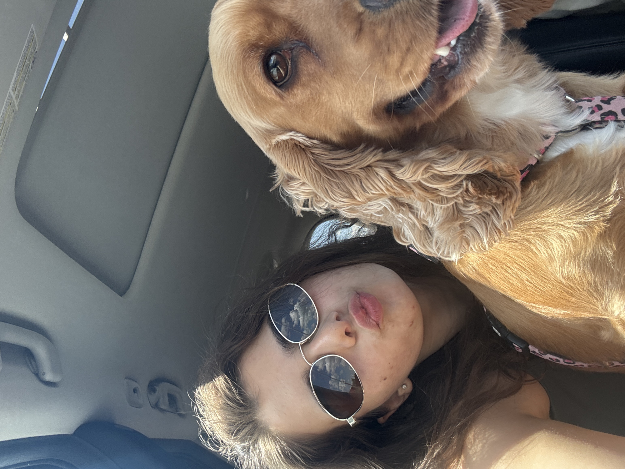 A young woman with dark brown hair and sunglasses is taking a selfie in a car with a golden-brown dog. The woman is puckering her lips, and her sunglasses reflect the sky. The dog, a Cocker Spaniel, is looking towards the camera with its mouth slightly open and tongue visible. The car interior is visible, including the headliner and a rearview mirror. The scene appears to be taking place on a sunny day, with natural light illuminating the subjects. The woman is wearing a dark-colored tank top, and the dog has a pink collar with a leopard print pattern. The background is blurred, suggesting motion or a shallow depth of field. The photo was taken inside a vehicle, likely a passenger car. The image captures a moment of bonding between the woman and her pet during a car ride. This image is not located in Shumen, Bulgaria; it is a generic scene without specific geographical indicators.