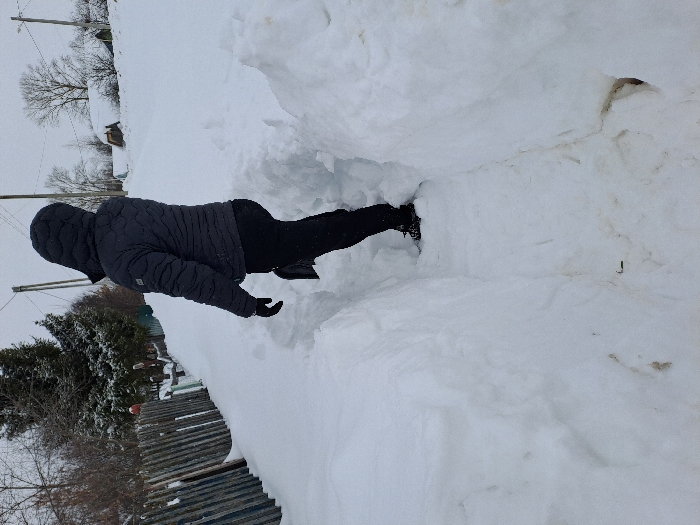 The image depicts a single individual walking through a deeply cleared snow path in a rural or village setting identified as Полянки, Russia. The person is viewed from the back and slightly to the right, wearing a dark grey or black hooded puffer jacket, black pants, and black gloves. Their right foot, clad in a dark boot, is visible as they step forward into the path. The path itself is narrow, with snow walls rising significantly above knee level, suggesting considerable snow depth.
To the left of the path, a weathered, multi-panel fence, possibly constructed from wood or corrugated metal, is partially obscured by snow. Beyond the fence, several bare deciduous trees and dark green coniferous trees are visible. The ground, fence, and distant structures are uniformly covered in a thick layer of white snow.
To the right and in the background, a broader expanse of uncleared snow extends. In the middle distance, several small, snow-covered houses with dark roofs are discernable. Utility poles with overhead wires are present in the background, against an overcast, bright sky. The overall scene indicates a heavily snow-covered environment during winter.