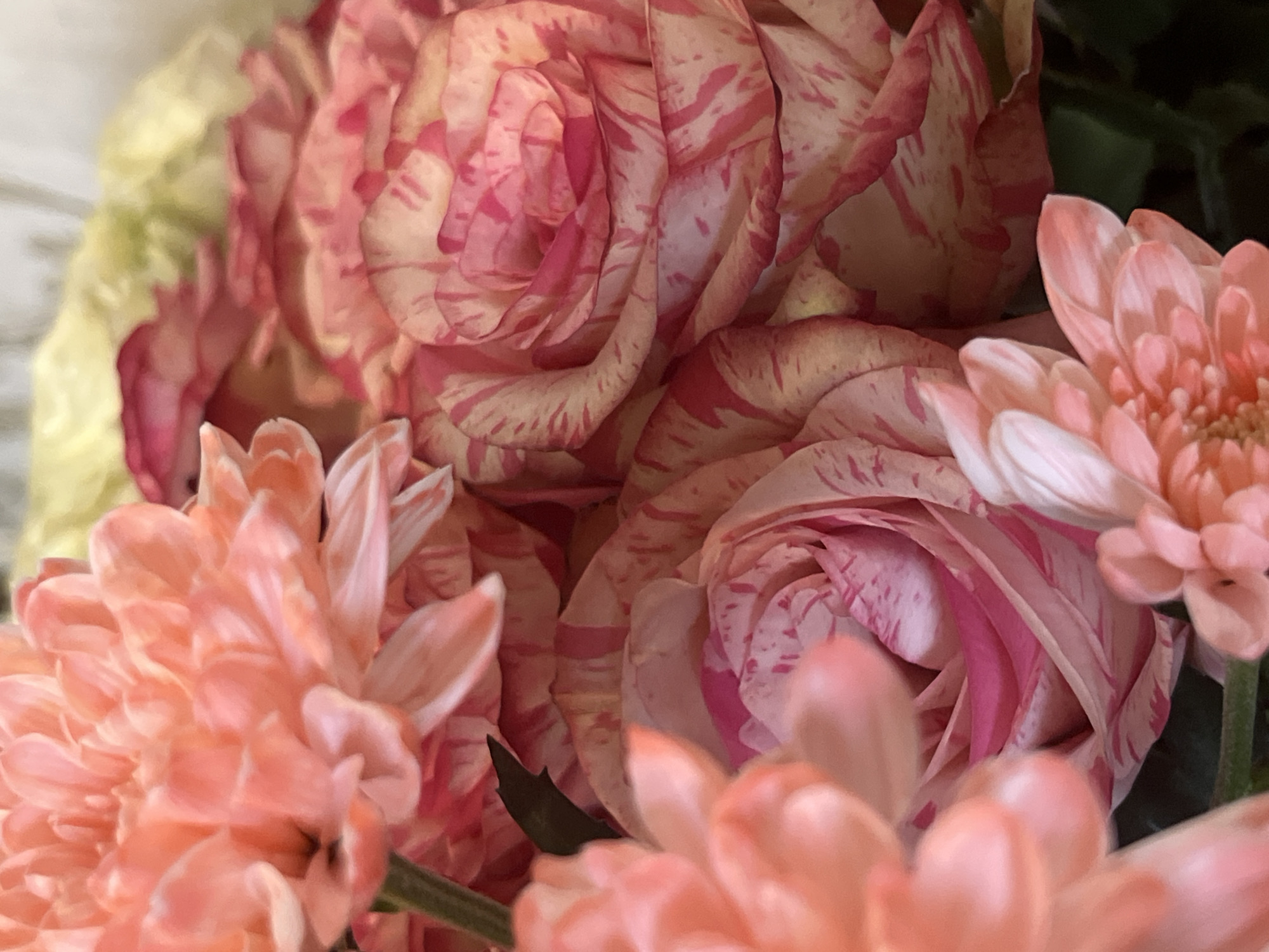 A close-up photograph shows a bouquet of flowers, primarily in shades of pink and light yellow. Two types of flowers are visible: roses with distinctive pink stripes and peach-colored chrysanthemums. The roses are tightly swirled with light yellow undertones. The chrysanthemums have numerous thin petals that form a dense, rounded head. Green stems and leaves are present but partially obscured. The background is slightly blurred.
The location in the city of Фоки, Russia is not relevant to the image.