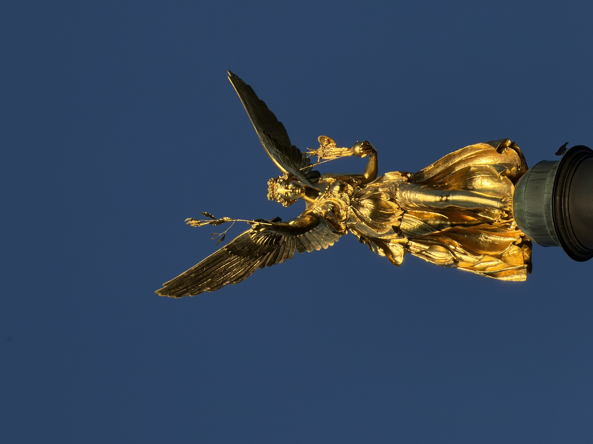 This is a medium shot, eye-level, vertical photograph of a gilded bronze statue of Victoria, the Roman goddess of victory, against a clear, deep blue sky. The statue stands atop a pedestal, a portion of which is visible at the bottom of the frame. Victoria is depicted with large, outstretched wings, her right arm raised, holding a laurel wreath or olive branch, and her left arm bent, holding a second object that resembles a small statue or trophy. Her flowing robes are highly detailed, catching the light and creating highlights and shadows. The overall impression is one of grandeur and achievement. This statue is known as the Friedensengel (Angel of Peace) and is located on the Friedensengel hill in Munich, Germany, marking the end of the Maximiliansanlagen park. A small, dark bird is perched on the side of the pedestal.