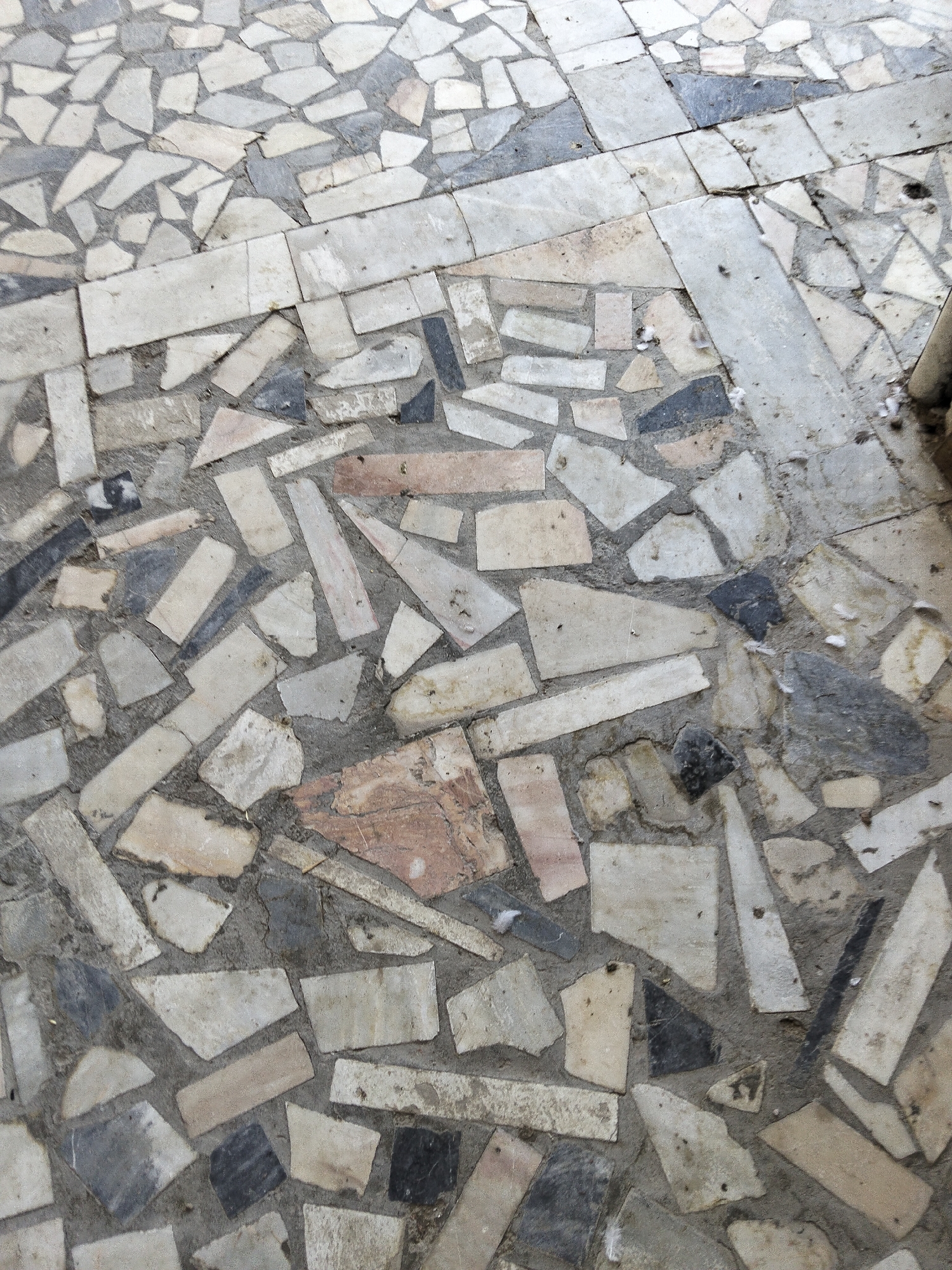 A close-up, high-angle, eye-level shot shows a weathered, uneven mosaic floor made of irregularly shaped pieces of stone and cement. The mosaic consists of light beige, grey, white, and some darker grey and black stones, set into a coarse, grey cement grout. Many of the stone pieces are fragmented, with chipped edges and visible wear. The texture of the surface is rough and gritty. Small bits of debris, possibly dust or lint, are scattered across the floor, with a few small dark specks that may be dirt or insects. The lighting is natural, casting subtle shadows that highlight the unevenness of the surface. The overall impression is of an aged and possibly neglected outdoor or semi-outdoor flooring. This scene is located in Kogon City, Uzbekistan.