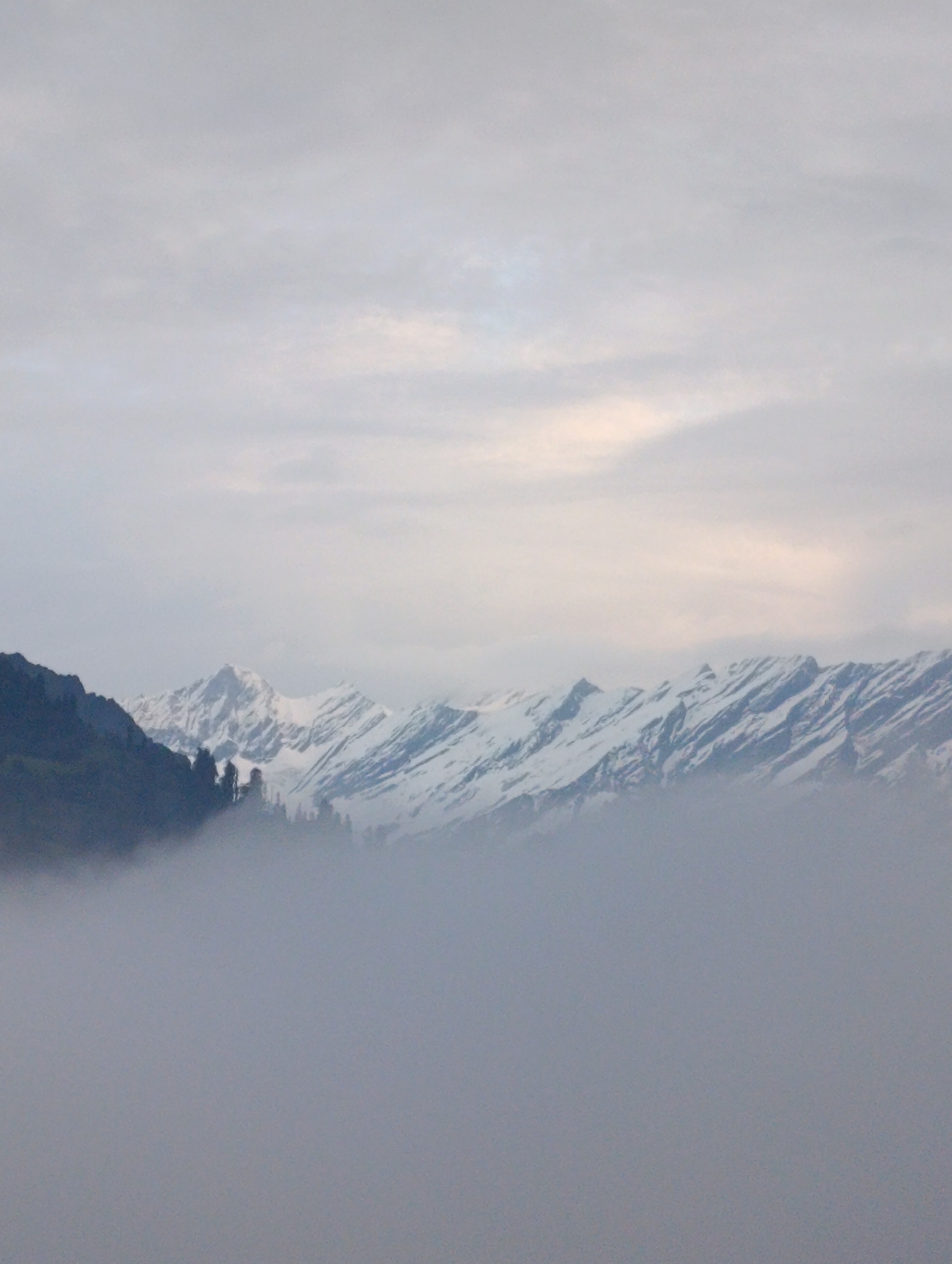 The image shows a panoramic view of snow-capped mountains partially obscured by a thick layer of fog or clouds. The sky is overcast with muted, light gray tones, suggesting either dawn, dusk, or heavy cloud cover.
In the midground, a range of jagged mountain peaks is visible, with snow covering their upper slopes and summits, creating a stark contrast against the darker, rocky lower portions. The texture of the snow suggests a rugged and uneven terrain.
In the foreground, a dense, soft layer of white or light gray fog blankets the lower part of the scene, obscuring the base of the mountains and any lower landscape features. This fog creates a sense of depth and mystery, with only the upper sections of the mountains piercing through.
On the left side of the frame, a dark, densely forested mountain slope is visible, rising up to meet the snow-capped peaks. The trees appear to be evergreen, their dark forms silhouetted against the lighter background.
The overall atmosphere of the image is serene and majestic, with a hint of the dramatic due to the dramatic interplay of light, shadow, fog, and snow. The scene is natural and untouched by human activity.
The image is likely a landscape photograph taken in a mountainous region, potentially near Vashisht, India, known for its scenic beauty and proximity to the Himalayas. The fog is a common atmospheric condition in such high-altitude areas, often occurring in the early morning or late evening.
