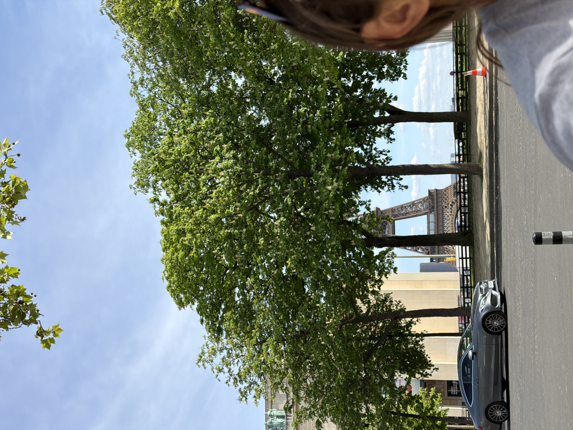 A street-level shot in Paris features the Eiffel Tower visible between rows of trees. The perspective is slightly canted. In the immediate foreground, a grey car is parked along the road. A bollard is present near the right edge of the frame. A person's ear and sunglasses are visible in the upper right corner, suggesting the shot was taken by someone nearby. The sky is blue with scattered clouds.