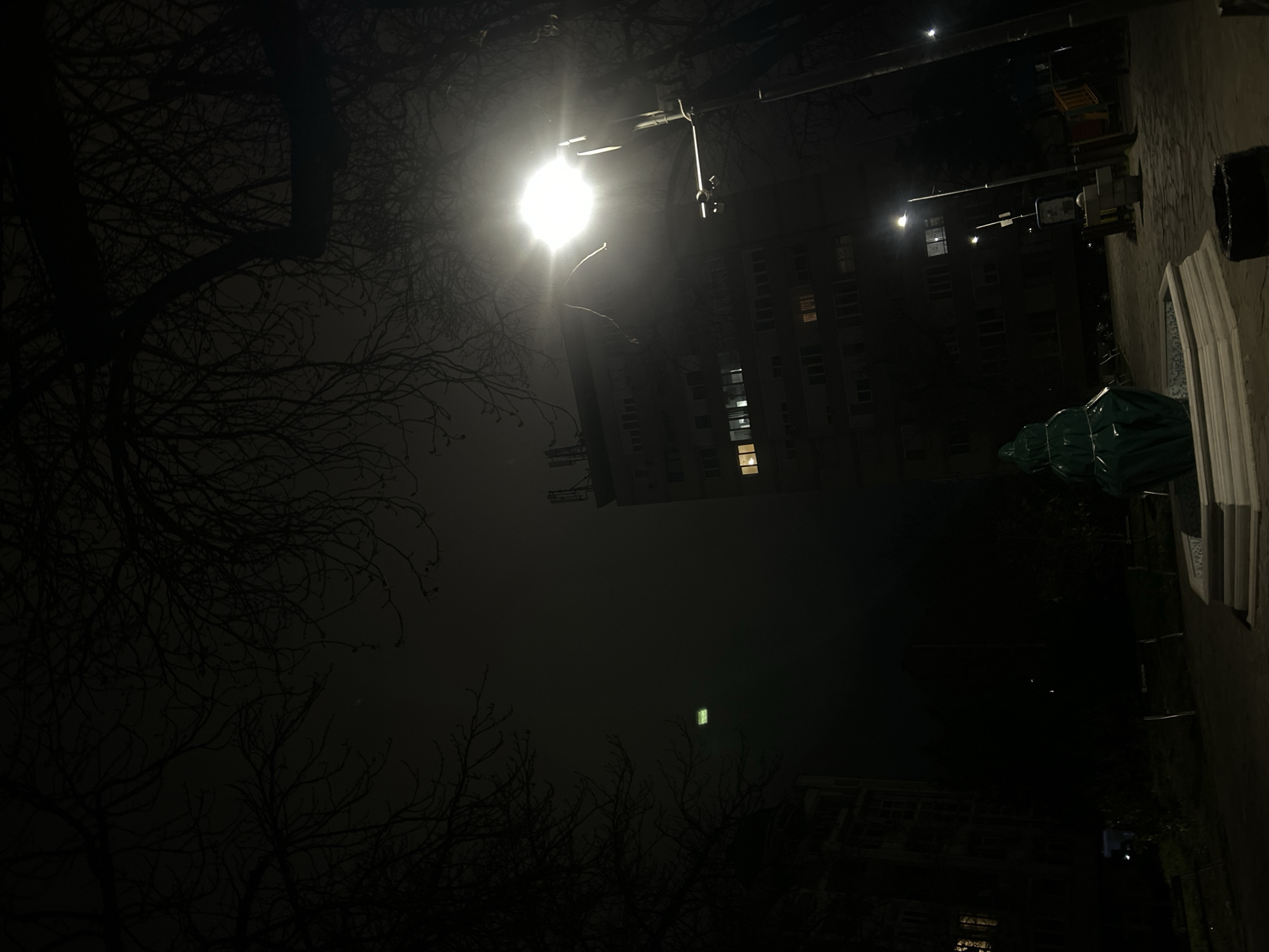 At night in what appears to be an urban area in Plovdiv, Bulgaria, a street scene is illuminated by a streetlamp and distant building lights. Bare tree branches frame the left and lower portion of the view. In the middle ground, a multi-story building shows a few lit windows. To the right, a sidewalk, green tarp-covered objects, and a light-colored structure (likely a wall or railing) are visible. The scene has a low ambient light level and an eerie quiet atmosphere.