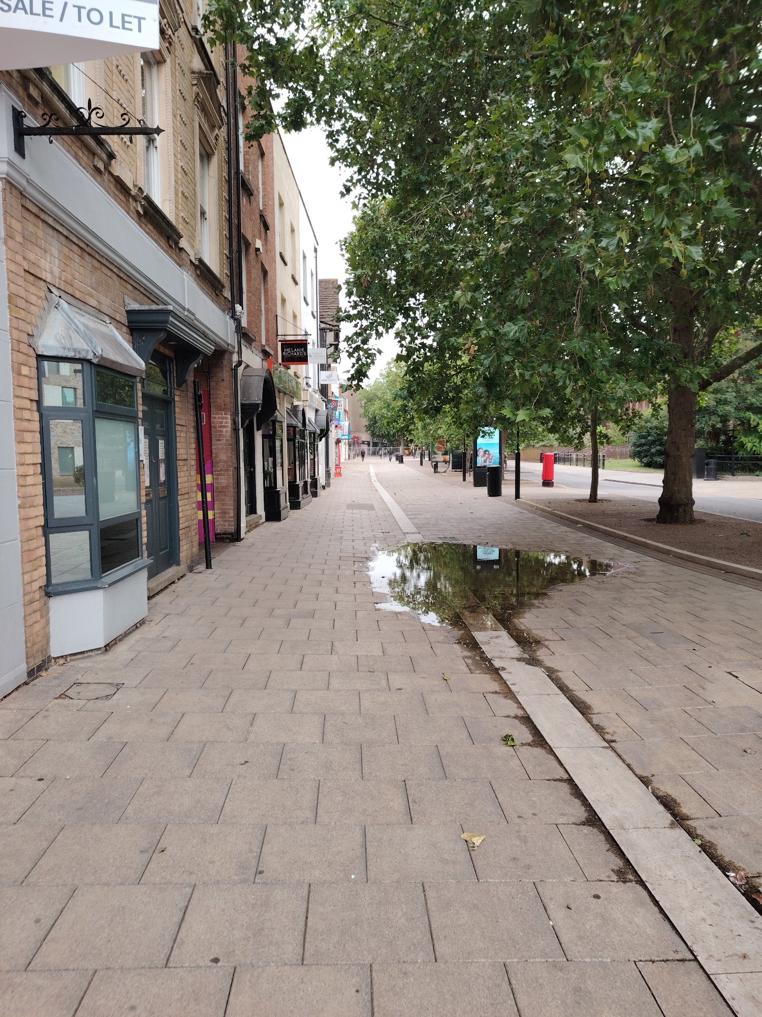 The image displays a pedestrianized commercial street, identified as Bridge Street in Peterborough, United Kingdom, under overcast conditions. The scene is dominated by a row of multi-story buildings on the left and a tree-lined thoroughfare on the right, separated by a wide paved walkway.
On the left, a sequence of commercial buildings with predominantly brick facades recedes into the distance. The closest building features light brown brickwork on its upper levels and a dark grey bay window structure on the ground floor. A white sign with black lettering reading "SALE / TO LET" is prominently displayed above its entrance. Further along the street, various shopfronts are visible, including one with a black sign bearing the name "MELANIE RICHARDS" in white text. A vertical pole exhibiting red and yellow stripes is positioned between two buildings further down the street.
The foreground and mid-ground consist of a light grey paved walkway, laid with rectangular slabs. A large, irregular puddle of water is situated on this pavement in the mid-ground, reflecting the overhead trees and the diffused sky. A linear, darker-toned paved strip runs longitudinally through the center of the walkway, accumulating some dirt and water. Scattered fallen leaves and minor debris are visible on the pavement. A square manhole cover is present near the bottom-left corner of the image.
On the right side of the walkway, a line of mature trees, consistent with London Plane trees (*Platanus × acerifolia*), exhibit green, lobed leaves and spherical fruit structures. These trees separate the pedestrian area from an unpaved strip and a visible roadway beyond. Black urban furniture, including bins and a digital advertising screen displaying human figures, is distributed along the right edge of the pavement. A red cylindrical Royal Mail pillar box is visible further down the street on the right. Two distant human figures are discernible walking on the right side of the pavement, suggesting a low level of pedestrian activity. The presence of the puddle indicates recent rainfall.