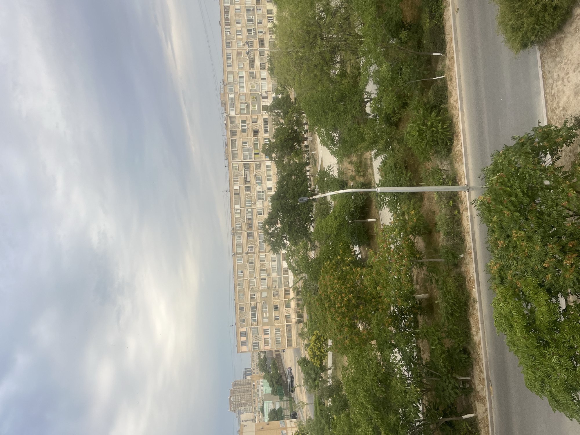 The image depicts an overcast day in a residential area of Aktau, Kazakhstan. In the foreground, a tree with green leaves and some orange-brown seed clusters dominates the lower portion of the frame. Beyond this, a paved road runs horizontally, bordered by a sidewalk and a strip of dry, sandy soil with sparse vegetation and some trees. A street lamp stands on the sidewalk. In the middle ground, a long, multi-story apartment building with a neutral beige facade and numerous windows is visible. The building appears to be of Soviet-era architecture. Several trees with green foliage are interspersed in front of and around the building, creating a somewhat dense green buffer. Further in the background, additional apartment buildings of varying heights and architectural styles can be seen, as well as power lines. A few cars are parked on a street to the left of the apartment building. The sky is filled with dense, gray clouds.