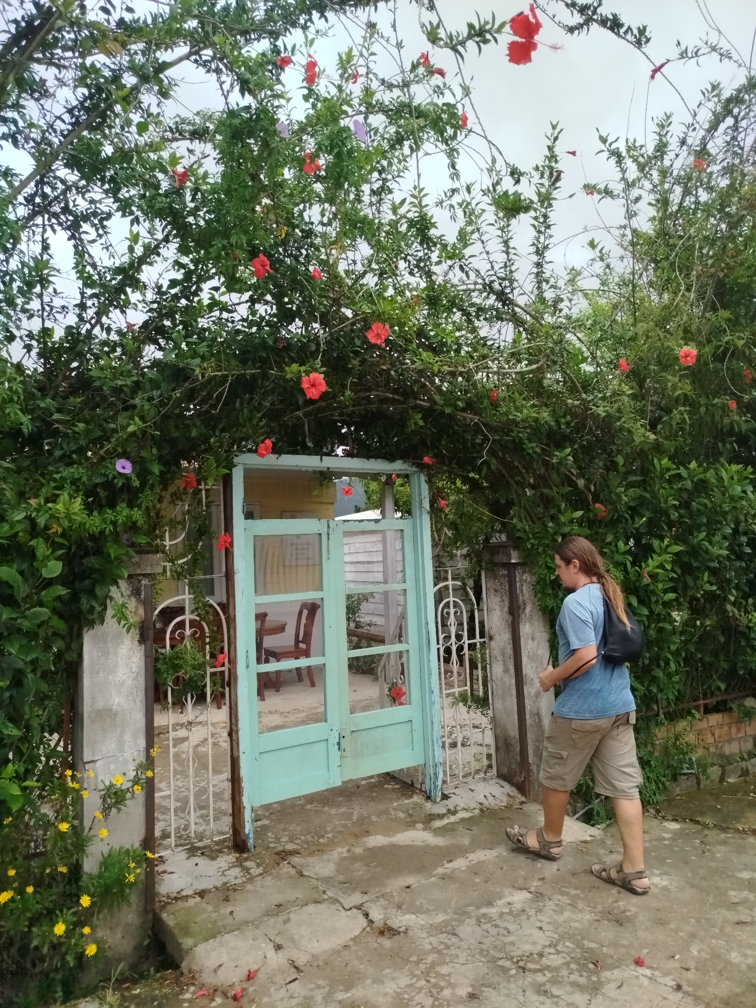 A person wearing a blue t-shirt, khaki shorts, and sandals walks past a light blue wooden gate covered in lush green foliage and red hibiscus flowers. The gate is open, revealing a table and chairs inside a building. The scene appears to be a residential area in Da Lat, Vietnam, with a cobblestone pathway and a concrete wall.