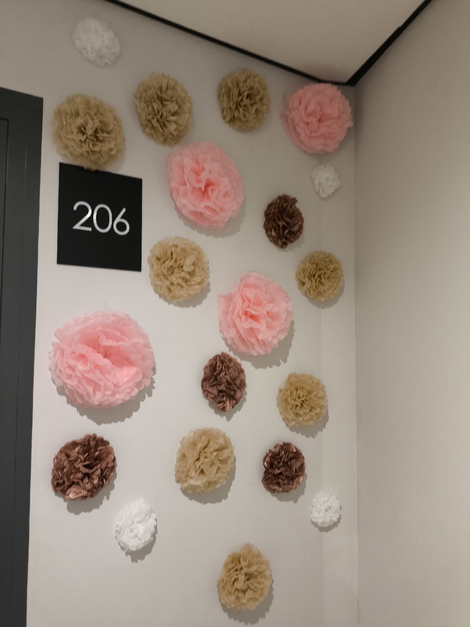 A black sign with the number "206" in white is mounted on a white wall, partially obscured by a dark gray door frame on the left. The wall is decorated with numerous paper pom-poms in various colors, including pink, tan, and brown, as well as some white ones. The pom-poms are of different sizes and are scattered across the wall in a seemingly random pattern. The room appears to be a hallway or an interior space, possibly a hotel or an apartment building, given the room number sign. The lighting is soft and even. There are no people or animals visible in the image, and no actions or interactions are depicted. The image does not provide any information that would allow for its location to be identified in Izhevsk, Russia.