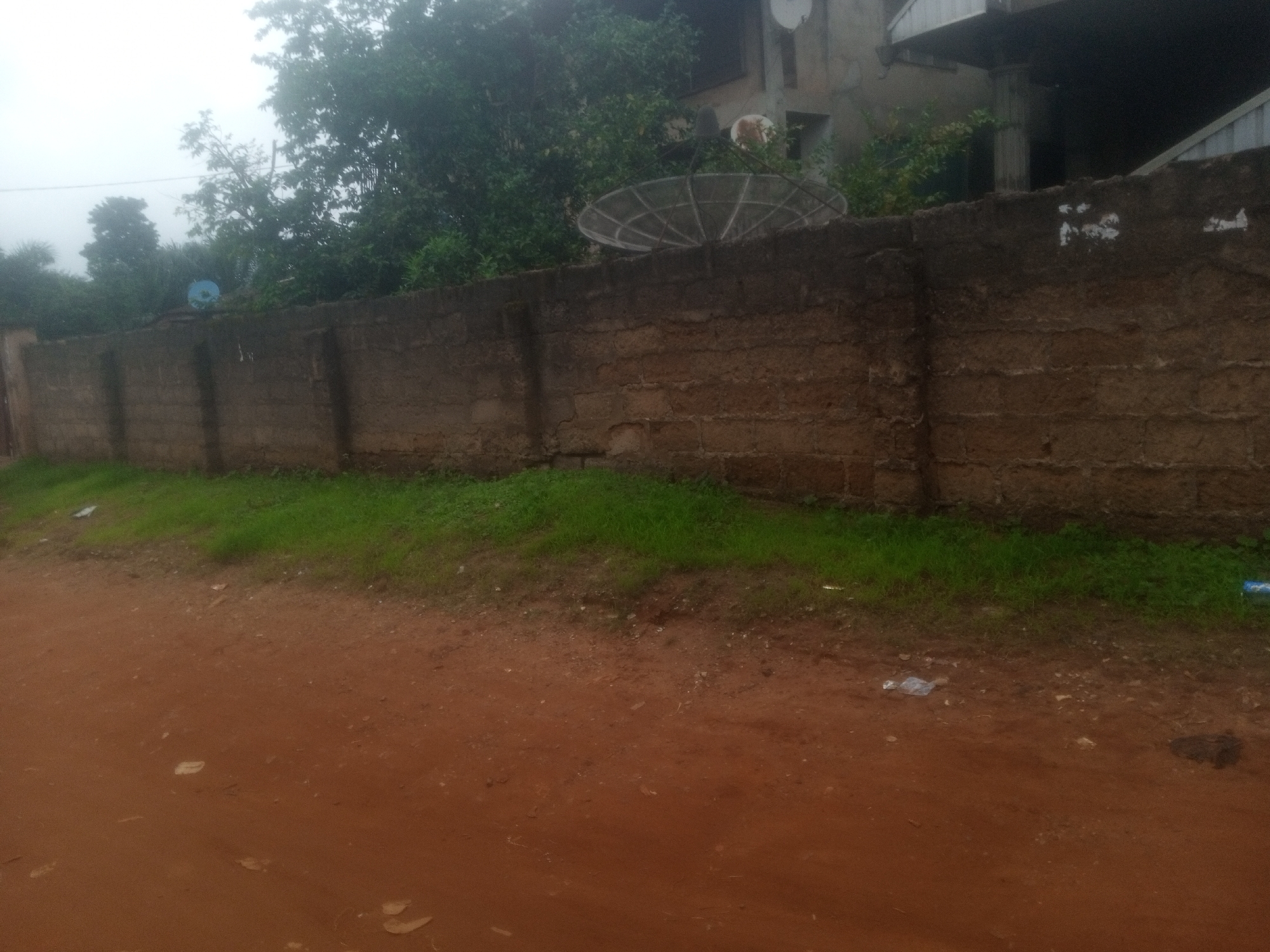In Nanka, Nigeria, a matte concrete wall, constructed from large, rectangular blocks, forms a barrier across the image. The wall exhibits signs of age and weathering, with some discoloration and visible mortar lines. To the left of the wall, lush green grass grows, bordering a dirt path composed of reddish-brown soil. Scattered across the path and the grass are small pieces of litter, including plastic fragments and a crumpled white plastic bottle.
Above the wall, a dense canopy of trees partially obscures the sky, creating a subdued, overcast atmosphere. Visible through the foliage are elements of a building, characterized by concrete structures, possibly balconies or overhangs. Two satellite dishes are mounted on the wall. The larger dish, a prominent circular structure with a grid pattern, is situated towards the center of the frame. A smaller, blue dish is positioned to the left, further down the wall. No individuals are present in the scene, and no actions or interactions are depicted.