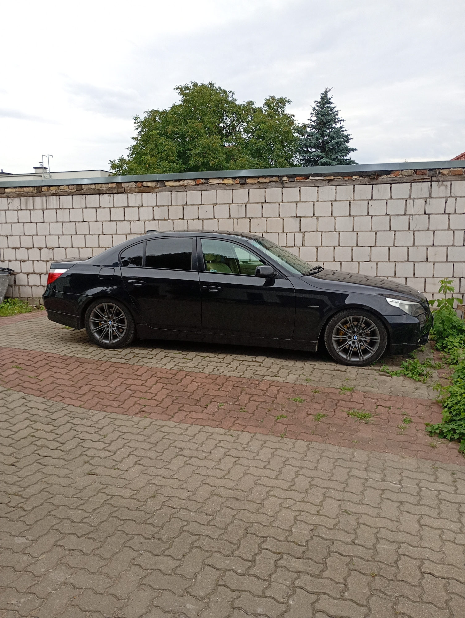 A black four-door sedan is parked parallel to a white brick wall, on a driveway paved with interlocking concrete blocks. The car is angled slightly towards the viewer, with its left side fully visible. The driveway is divided into two sections: the foreground is paved with grey blocks, and the background closer to the wall is paved with red blocks. Green foliage grows along the right side of the car and behind the wall. Trees are visible above the wall, and the sky is overcast. The car appears to be a BMW, likely a 5 Series model from the mid-2000s. The scene is outdoors, with no people visible. The location is identified as Białystok, Poland.