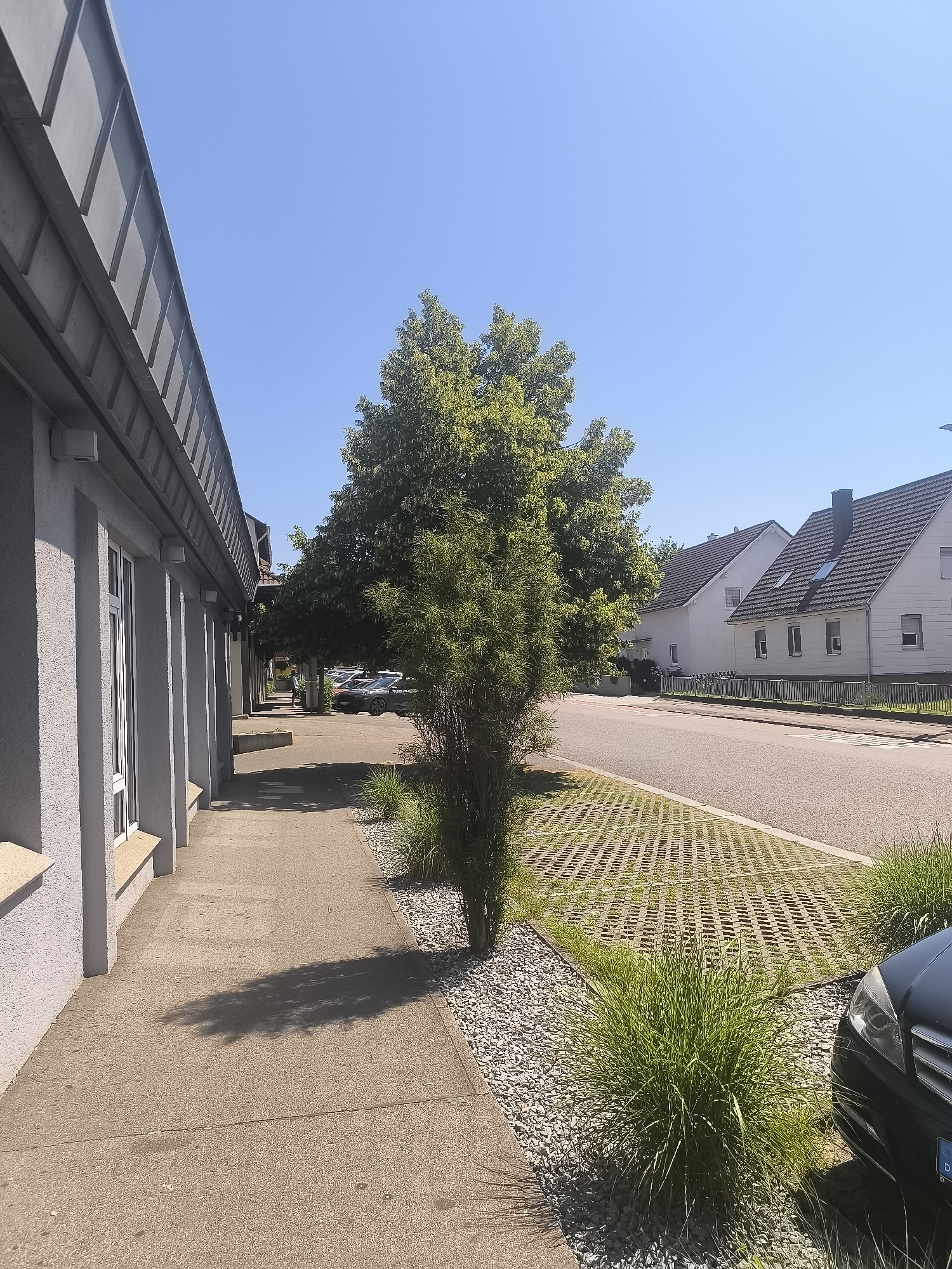 This is a full outdoor, eye-level, medium shot photograph of a sidewalk next to a building and a street in a suburban area. The building on the left is a modern, light gray structure with a dark gray, sloped roof. It has several windows and what appear to be outdoor speakers mounted on the exterior. A sidewalk runs along the front of the building. To the right of the sidewalk is a patch of gravel and then a street. The street has a section of permeable pavement with a grid pattern of grass interspersed with concrete. On the far side of the street are houses with pitched roofs, some with chimneys. A large, leafy green tree is situated between the sidewalk and the street, casting a shadow on the sidewalk. There are several parked cars visible further down the street. The sky is a clear, bright blue. The scene is illuminated by bright sunlight, suggesting it is daytime.