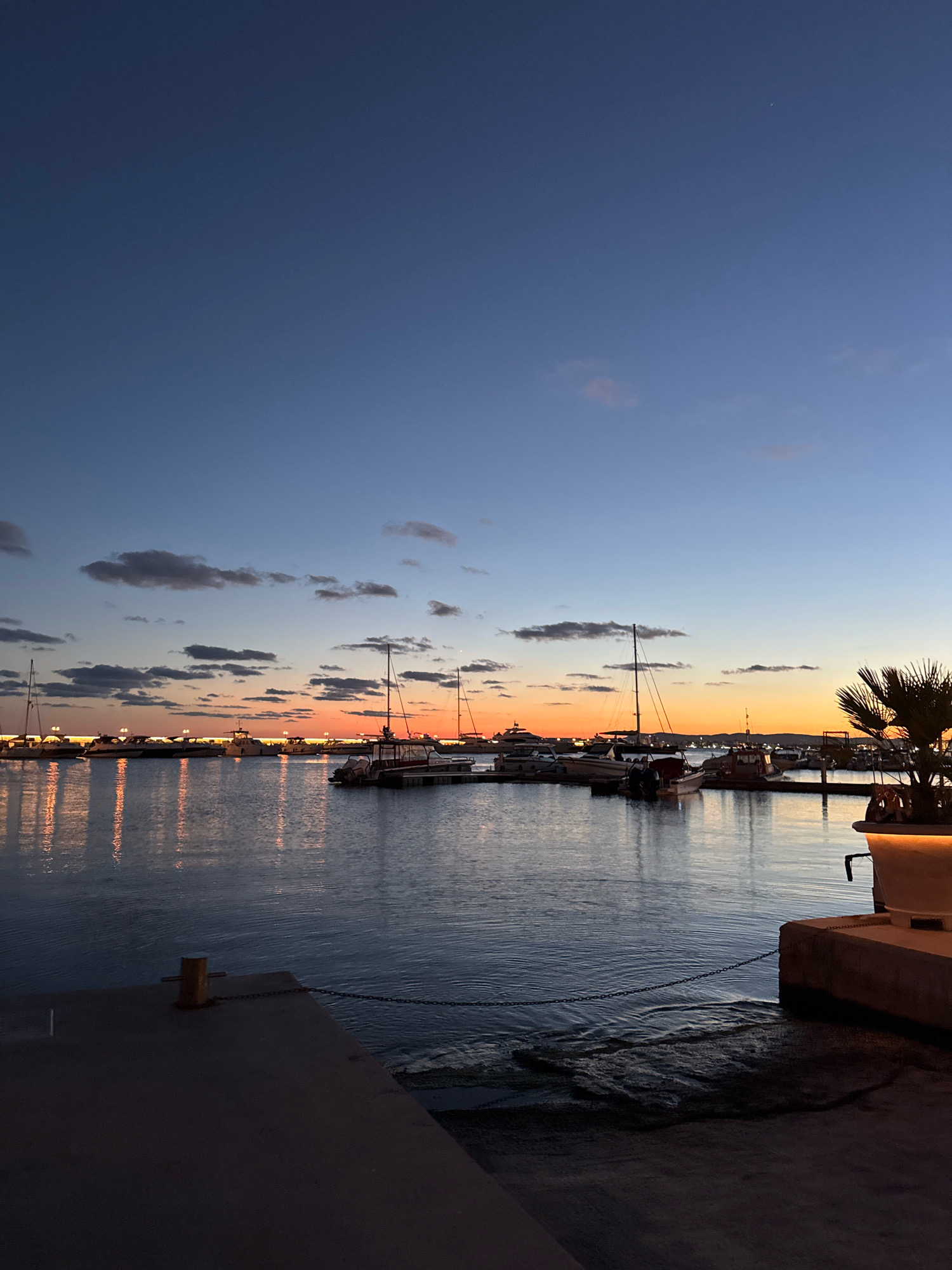 The image captures a twilight scene at a harbor in Sveti Vlas, Bulgaria. The sky is a gradient of deep blue fading to a soft orange and yellow near the horizon, with a few scattered clouds. Several boats, including sailboats and motor yachts, are docked in the calm water, their lights reflecting on the surface. In the foreground, a concrete pier with a bollard and chain is visible. To the right, a planter with a palm tree is illuminated. The overall atmosphere is serene and peaceful.