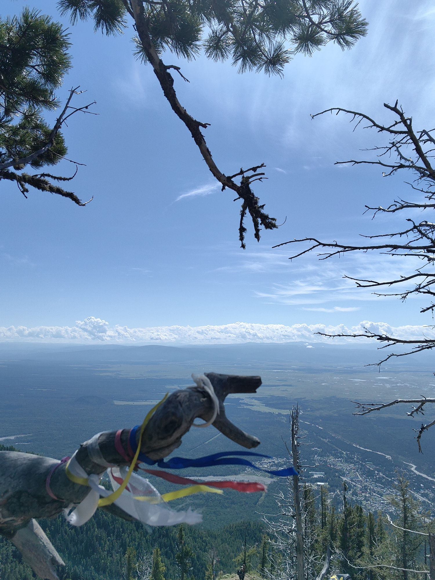 An eye-level, wide-angle shot captures a scenic view from a mountain overlooking the town of Arshan, Russia. In the foreground, a weathered tree branch, adorned with colorful prayer flags—red, blue, yellow, and white—extends into the frame, partially obscuring the vista. The branch itself appears to be artificial, possibly a marker or decorative element. Beyond this, a vast, hazy landscape unfolds under a clear blue sky dotted with wispy white clouds. The middle ground is dominated by a range of distant mountains and a sprawling town nestled in a valley, characterized by its grid-like layout of buildings and roads. The foreground and mid-ground are densely forested with evergreen trees, interspersed with some dead, skeletal trees. A single, small figure of a person can be seen walking on a trail in the distance. The overall impression is one of a serene natural setting with a human presence.