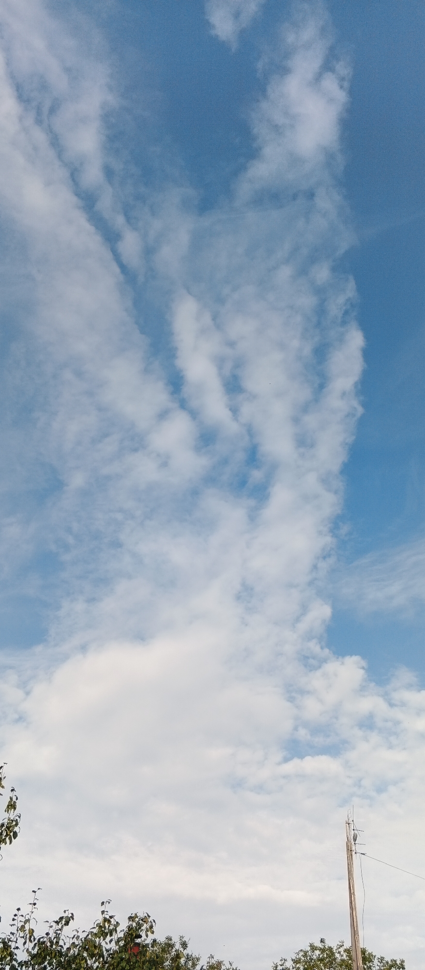 The image shows a daytime outdoor scene with a clear blue sky dominating the upper portion. Wispy white clouds are scattered across the sky, some forming elongated streaks. In the lower part of the image, the tops of trees with green foliage are visible, indicating a natural or semi-natural environment. To the right, a wooden utility pole with wires and what appears to be a small device attached is present, suggesting proximity to infrastructure. The overall lighting and cloud formation suggest fair weather. There are no people or animals visible in the scene. The location is specified as the city of Smila, Ukraine.