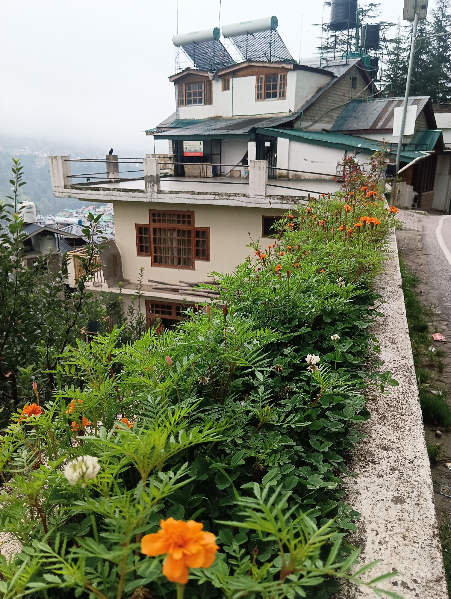 In the city of Chhyal, India, a multi-story building is situated on a slope, overlooking a hazy urban landscape. The building features a white facade with traditional wooden-framed windows and multiple sloping roofs covered in green and grey materials. Solar water heaters are visible on the uppermost roof. A balcony on the second level has a railing and a bird perched on it. Lush green vegetation, including marigolds with orange blooms and other leafy plants, lines a concrete retaining wall in the foreground, which runs alongside a paved road. The overall atmosphere is slightly overcast, suggesting a cloudy or misty day.