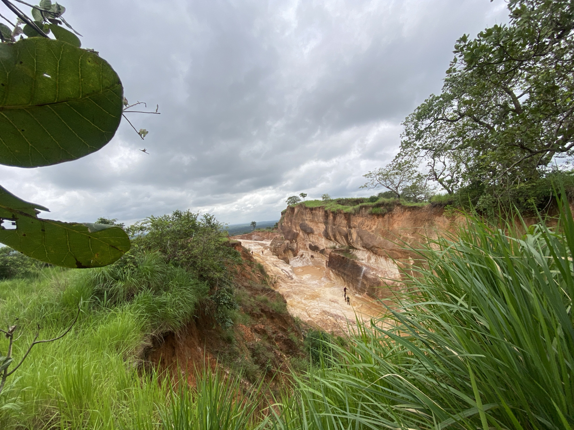 The image depicts a wide view of a large, excavated pit in Achara, Nigeria, under an overcast sky. The pit is characterized by steep, eroded cliffs of reddish-brown earth, revealing distinct layers of sediment. The bottom of the pit contains muddy water and appears to be actively eroding, with visible signs of ongoing landslips and water flow carving channels into the landscape. Several small figures, presumably people, are scattered within the pit, some appearing to be walking or working in the muddy terrain, while others are on the higher ground of the pit's rim. Lush green vegetation, including tall grasses and trees, surrounds the pit, encroaching on its edges in some areas. In the foreground, the dense, tall green grass creates a framing effect, obscuring some of the lower parts of the pit. The overall impression is one of a significant geological formation, possibly a former quarry or a site of severe erosion, showcasing a dynamic interplay between natural forces and human presence.