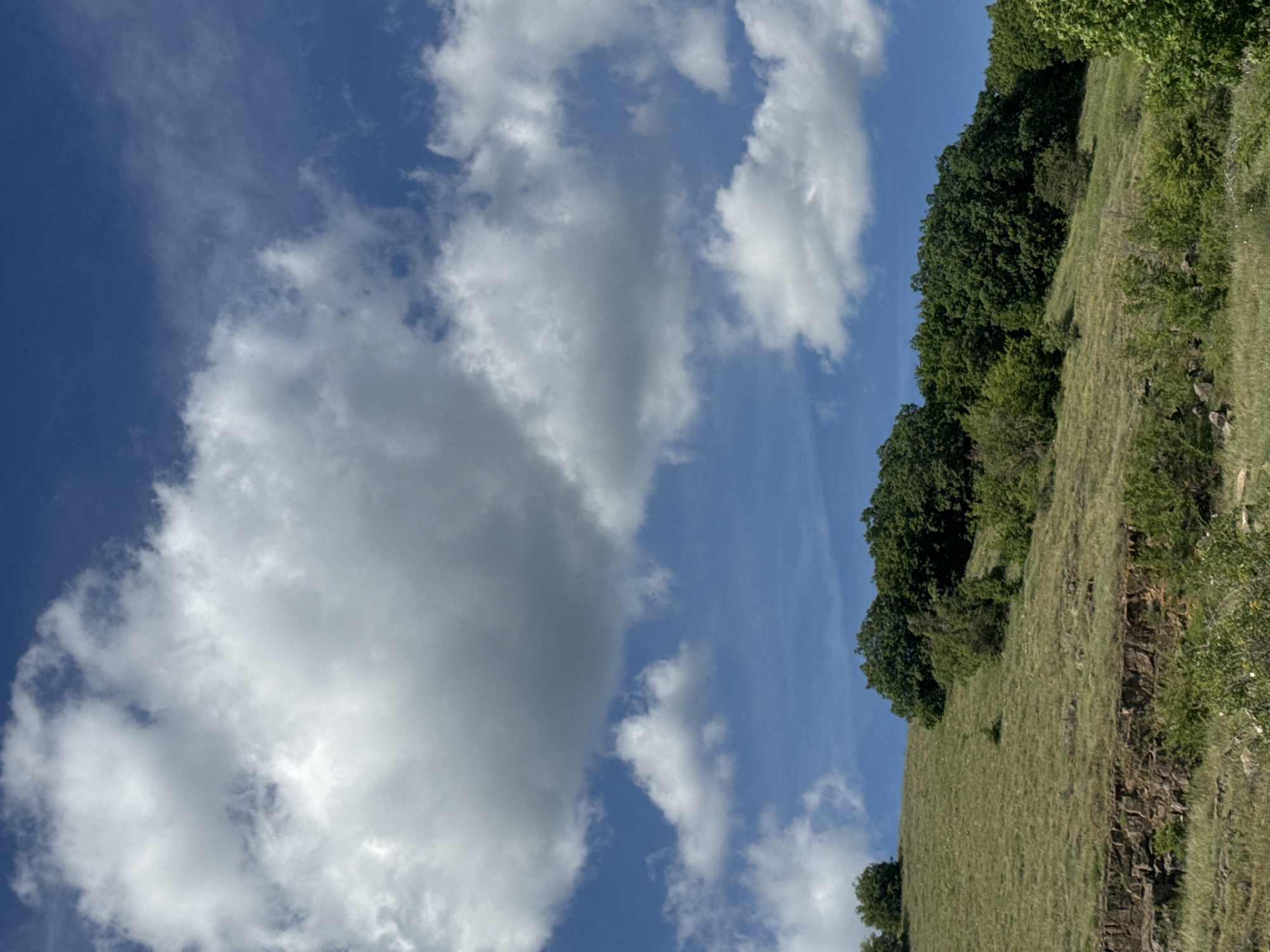 The image shows a landscape scene, likely taken in the Dragovishtitsa area of Bulgaria. The foreground depicts a grassy hillside, partially covered with dense green trees and shrubs. A rocky outcropping borders the edge of the slope. Above the hillside is a vibrant blue sky filled with puffy white clouds. There are no people visible in the frame. The landscape suggests an outdoor location in a hilly or mountainous region.