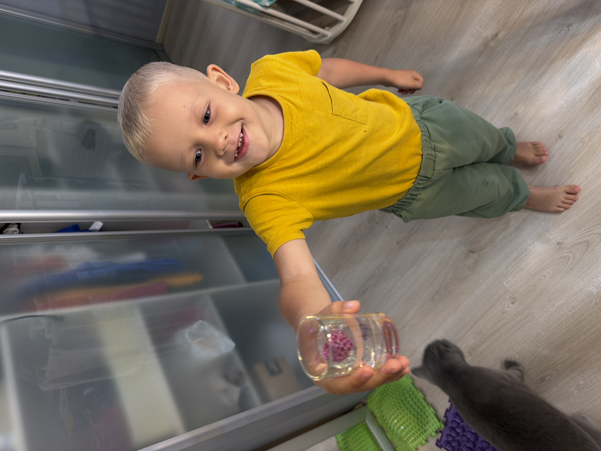 A young child, appearing to be a toddler or preschooler with blonde hair and a cheerful expression, is the central subject of this indoor scene. The child, wearing a bright yellow t-shirt and olive-green pants, is captured mid-action, extending their right arm towards the lower right of the frame. In their hand, they hold a clear glass or plastic cup containing a textured, pink or purple object, possibly a toy or decorative item. The child looks directly at the viewer with a wide, open-mouthed smile, conveying happiness and engagement.
Partially visible in the lower right corner is a grey cat, seemingly looking towards the child's outstretched hand and the object in the cup, suggesting an interaction between the two. The setting is indoors, with a light-colored wooden or laminate floor. To the left, a wardrobe or closet with translucent sliding doors and metallic frames runs vertically, blurringly revealing some colorful items stored inside. On the floor near the cat, two textured mats, one green and one purple, are visible. The overall lighting is soft and even, typical of an indoor daytime environment. The location of this happy moment is Sochi, Russia. No visible text is present in the image.